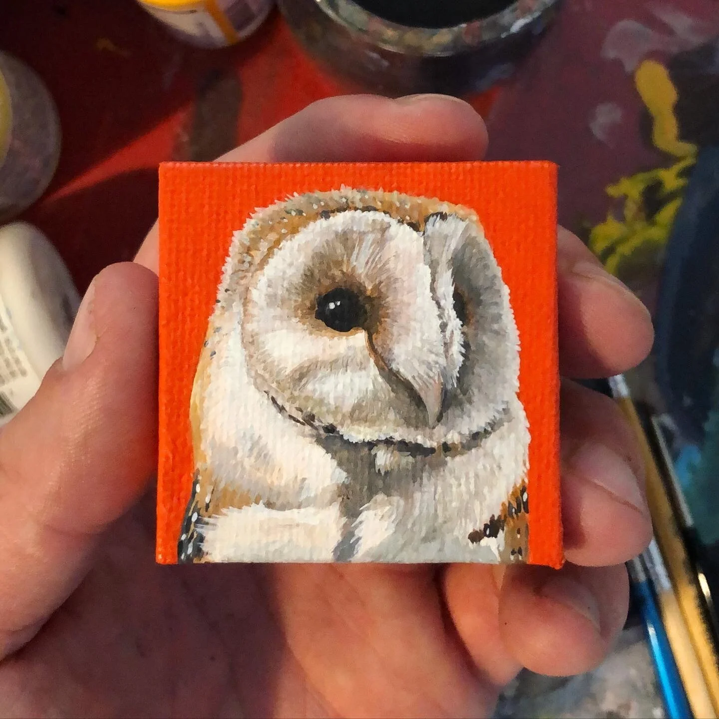 70FA3671-B20D-4355-BD48-3EDDE238E014