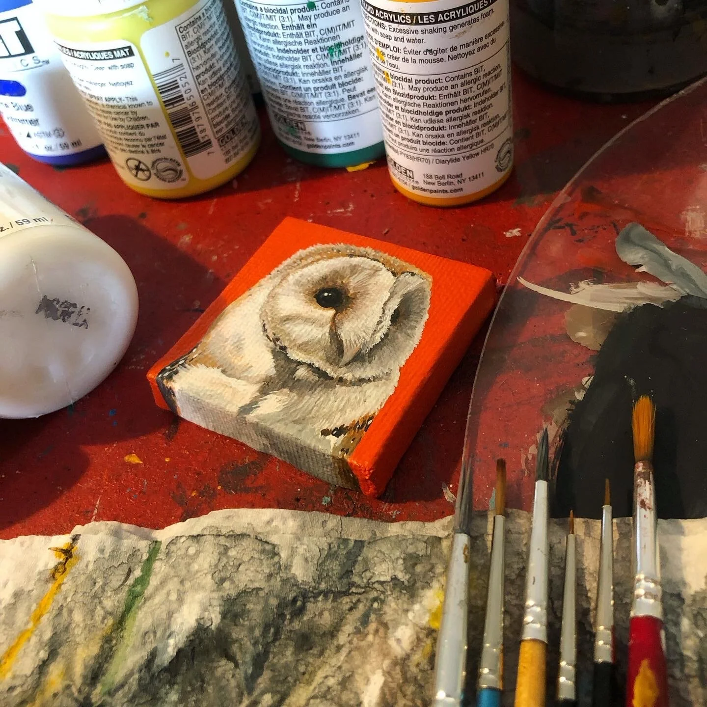 580B9F97-2B13-4965-B53F-AF478DB19CF4