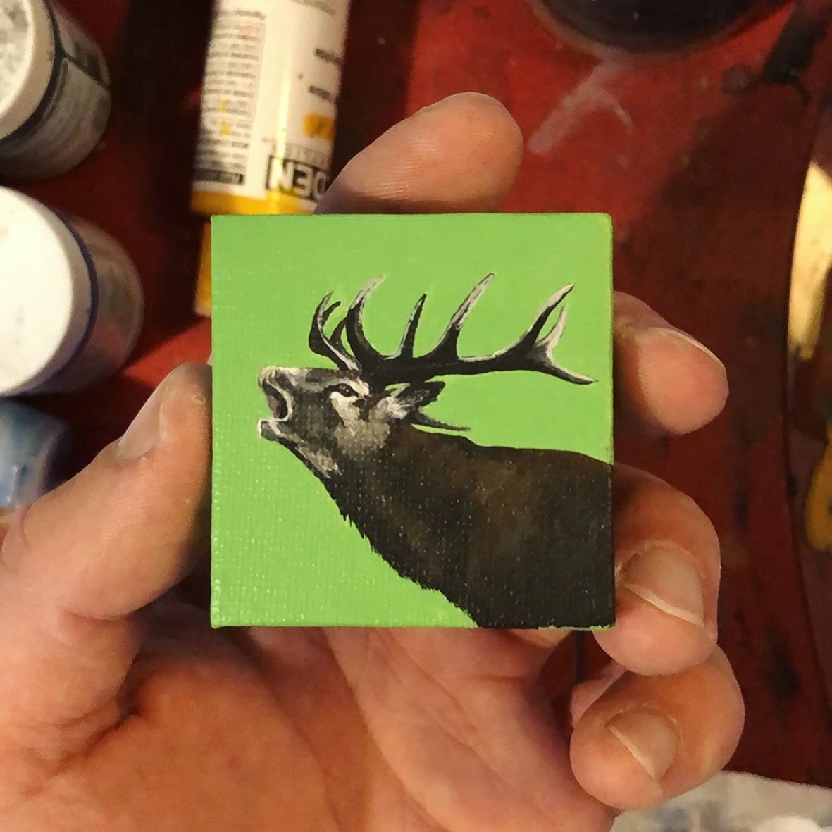 4A67511C-659D-4AD3-B9C9-058D89DC29CF