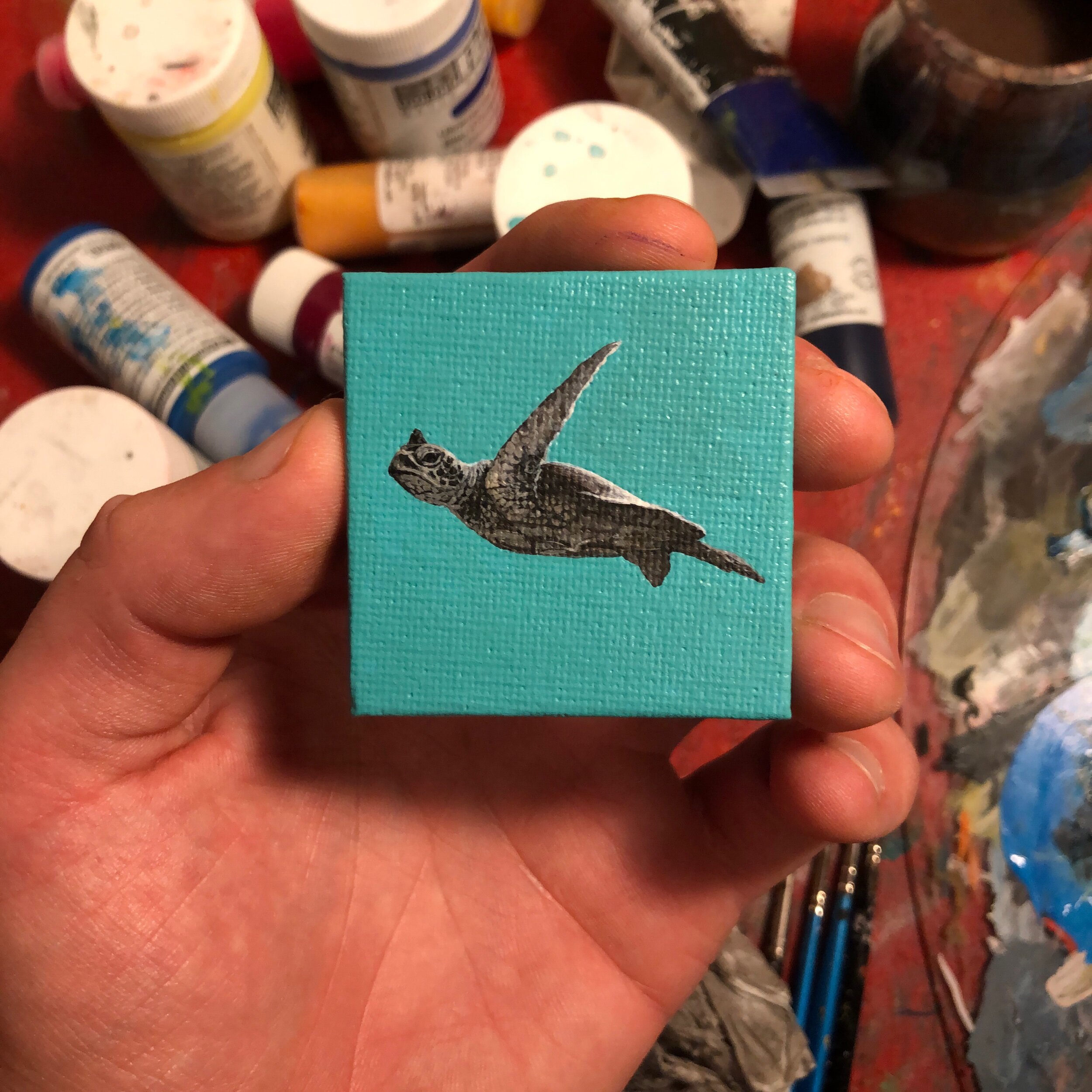 B5322026-F472-41C3-A9E4-E1F77050F320