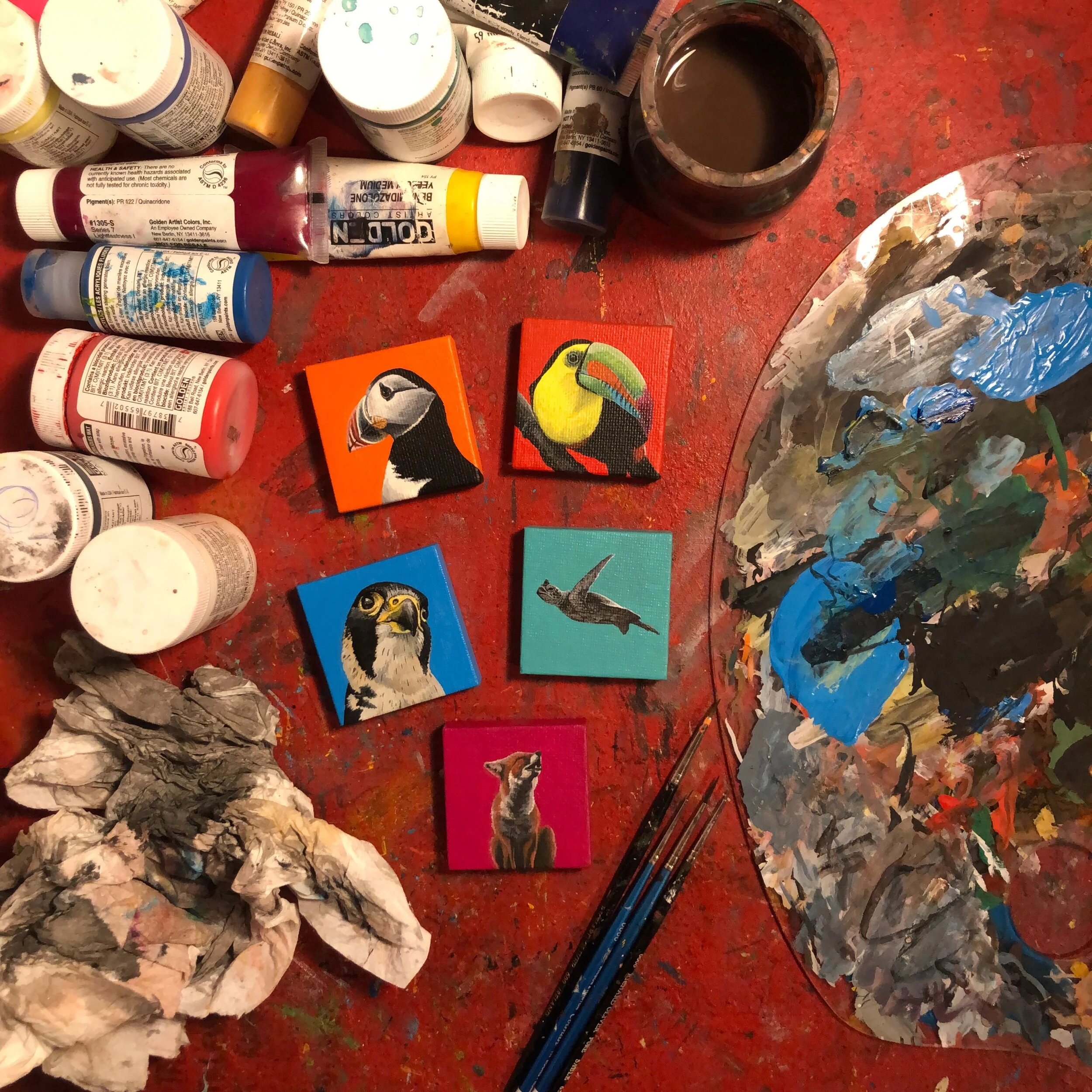 0D0717B2-D710-44BE-BB1A-49364E8154CA