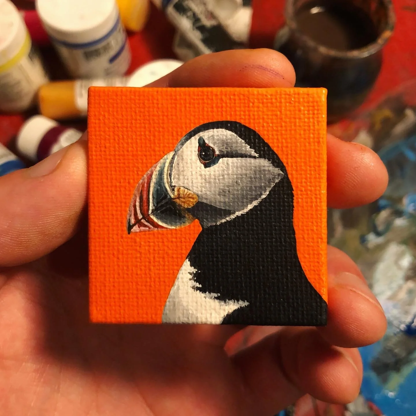 E86644F1-26D5-429F-95AE-B27C36440AD6