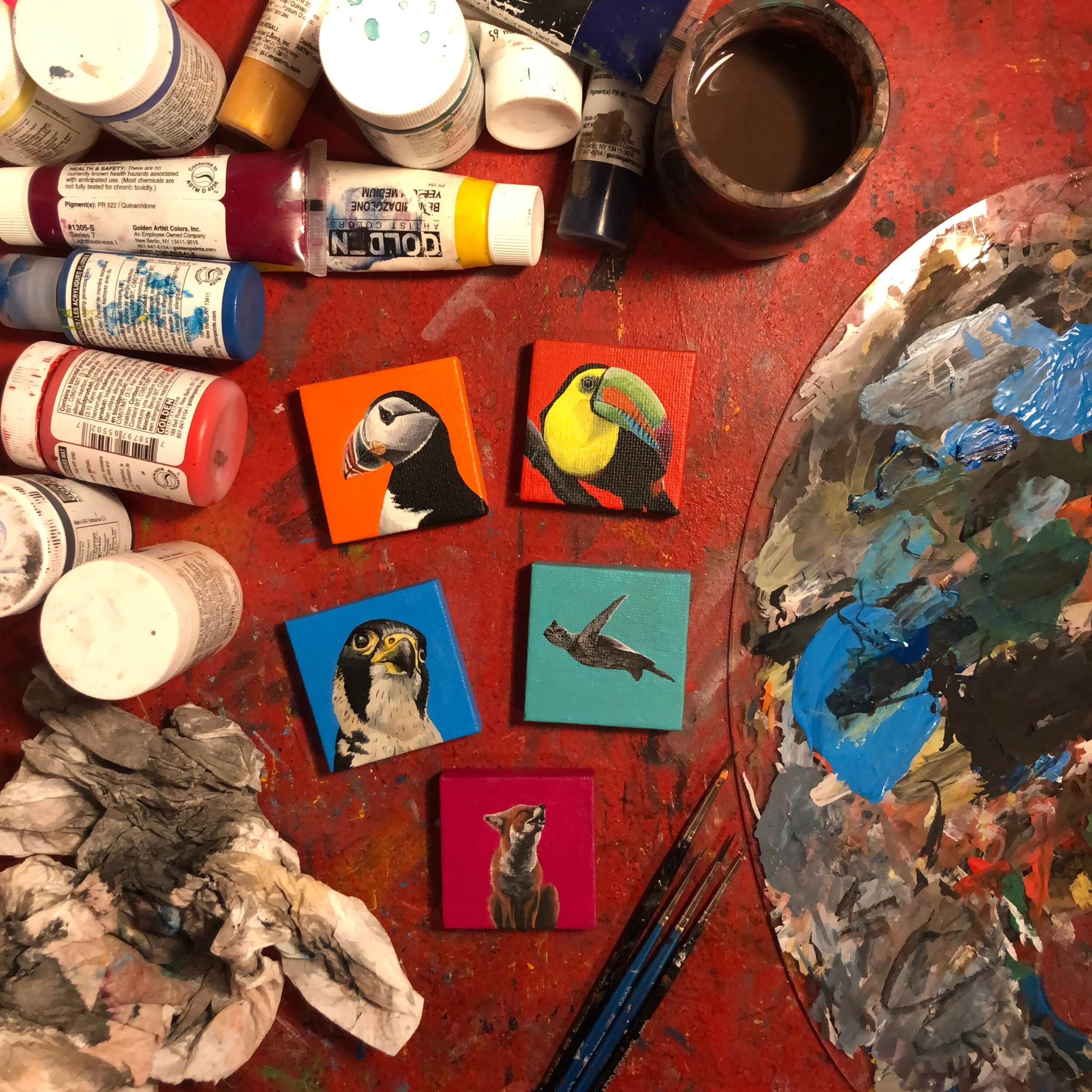 8301250C-289B-41C2-AB8D-4367703C972F