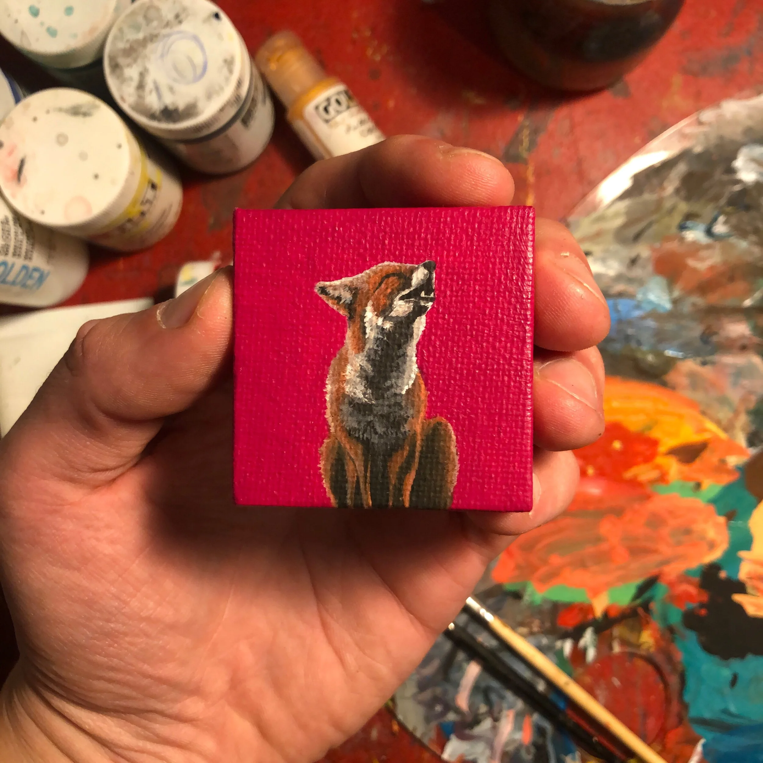 B4E64367-960C-4B8D-97FE-05F36982F629