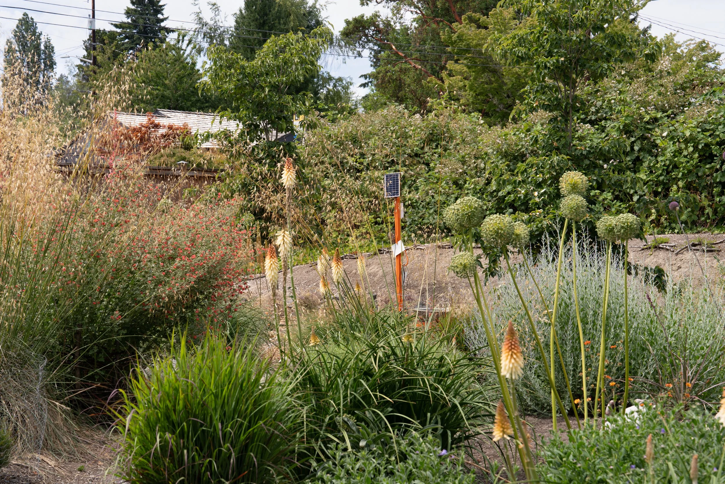 An orange sculpture in a garden.