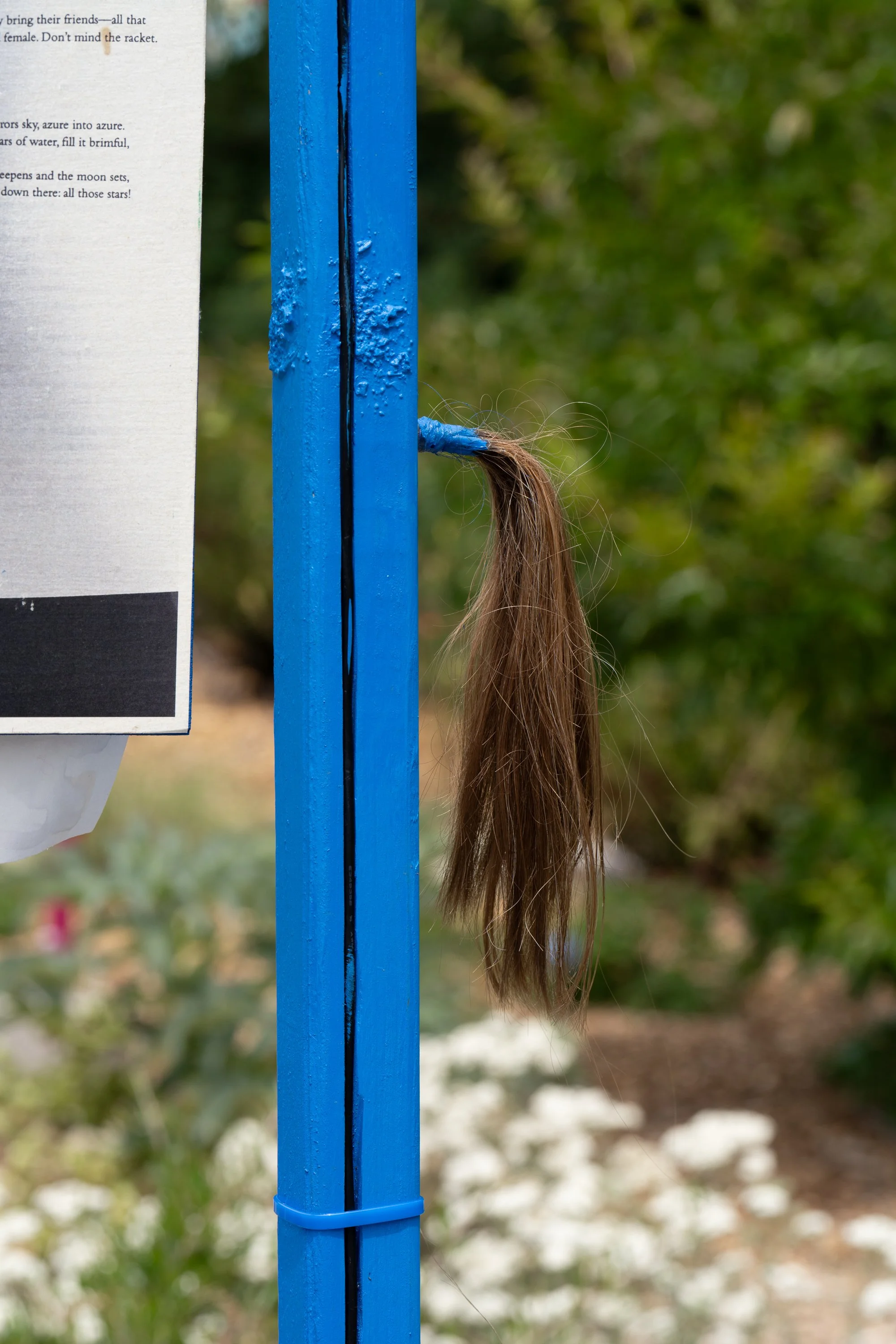 Brown hair hung on a blue sculpture.