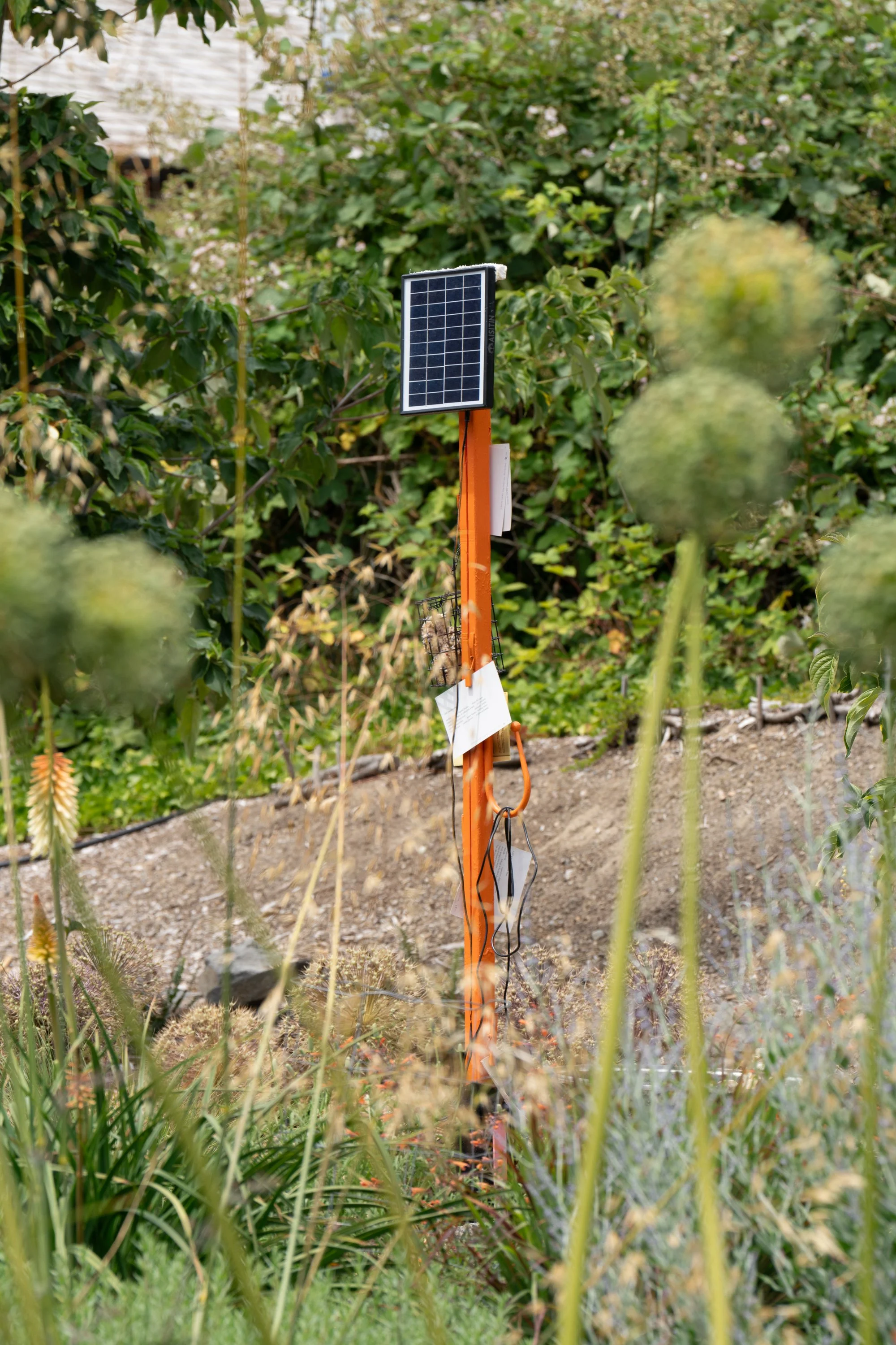 An orange sculpture in a garden.