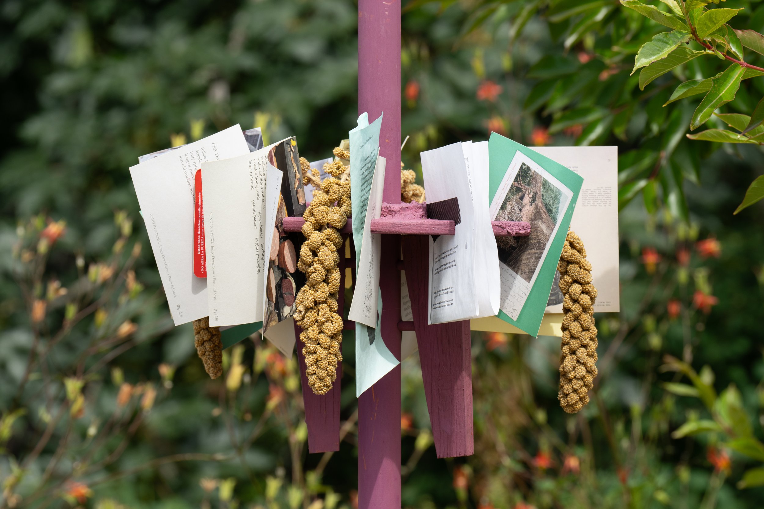 Postcards, folded paper with texts, and bird feed on a pink sculpture.