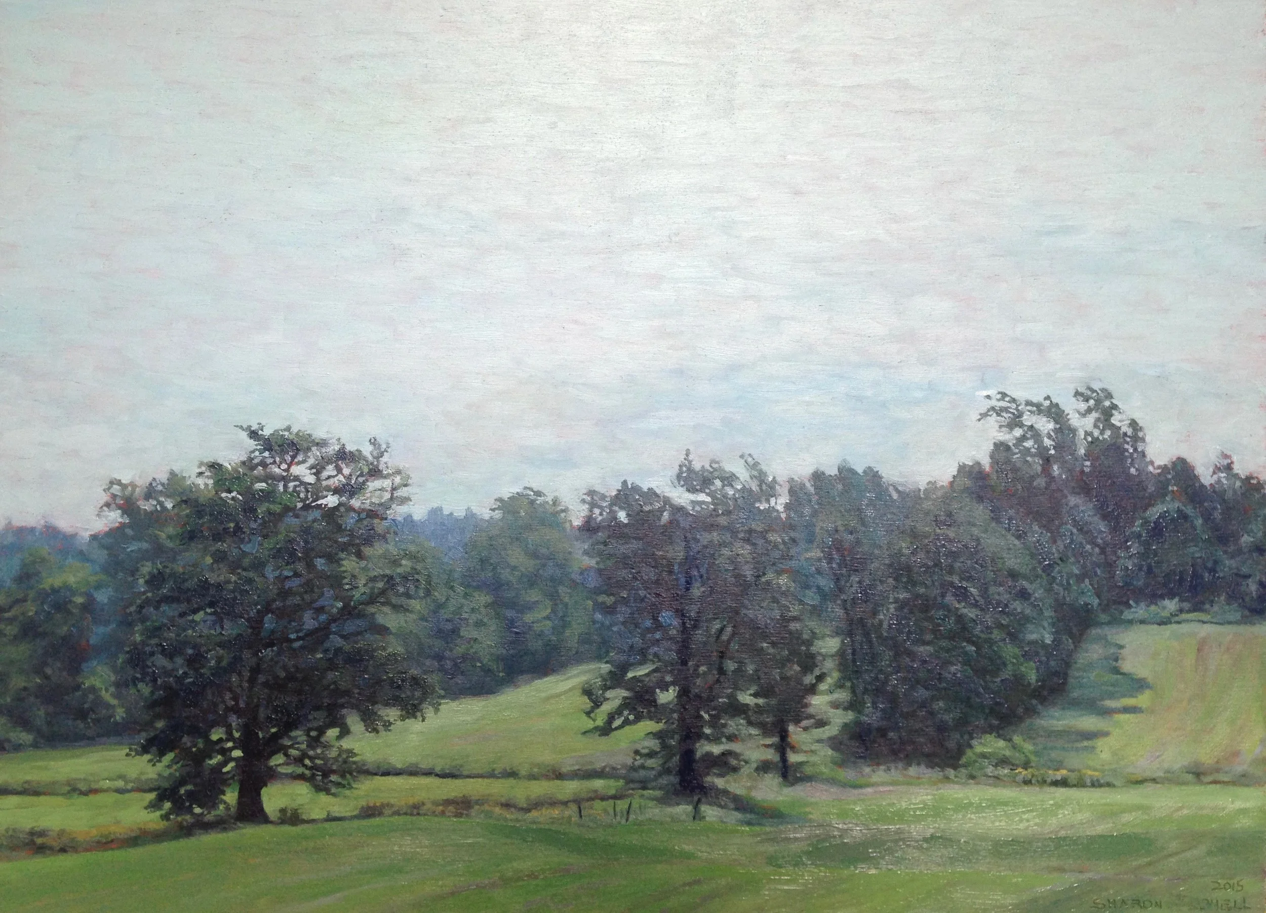 'Glengarry Fields'