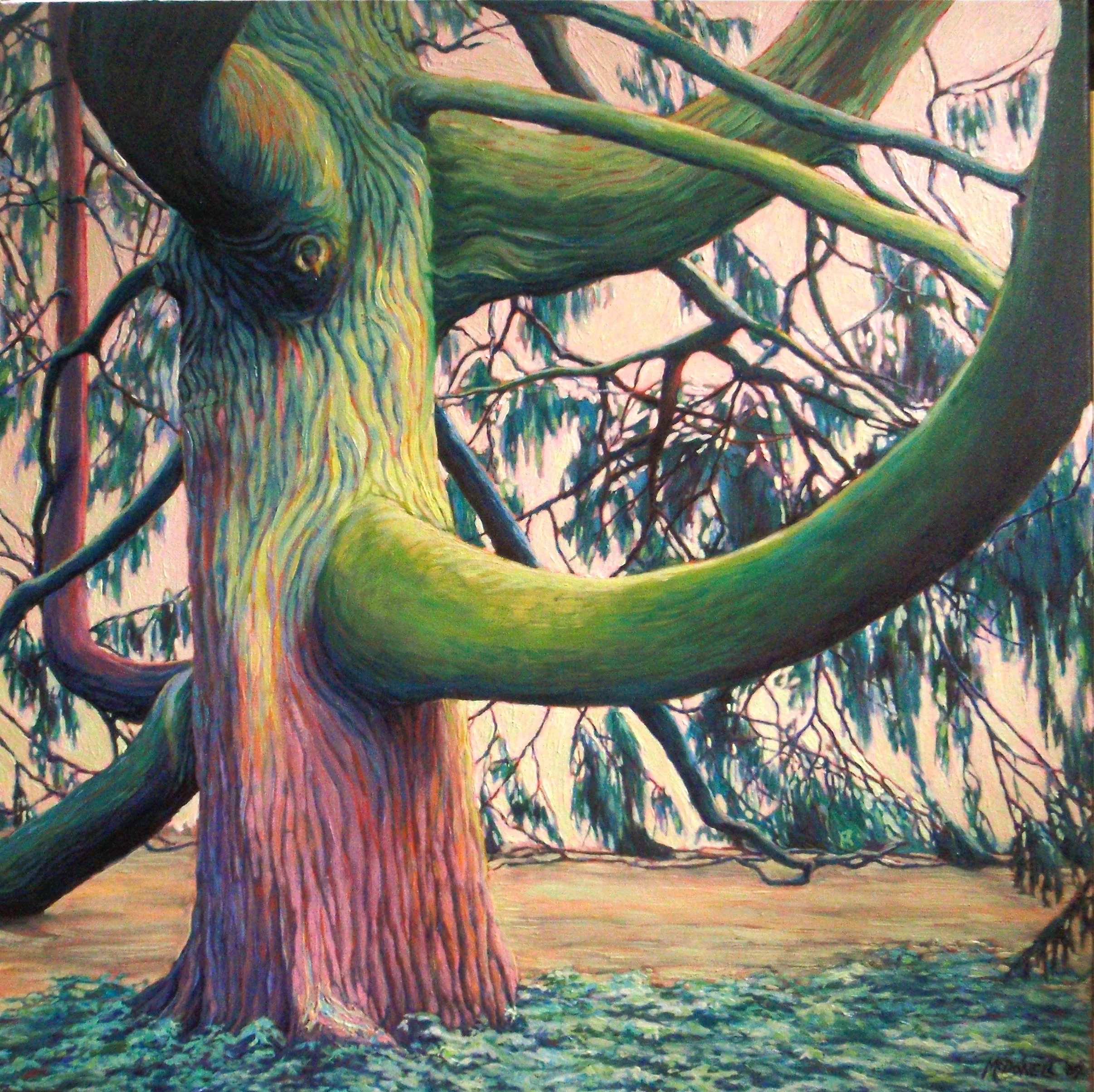 McLaughlin Pine