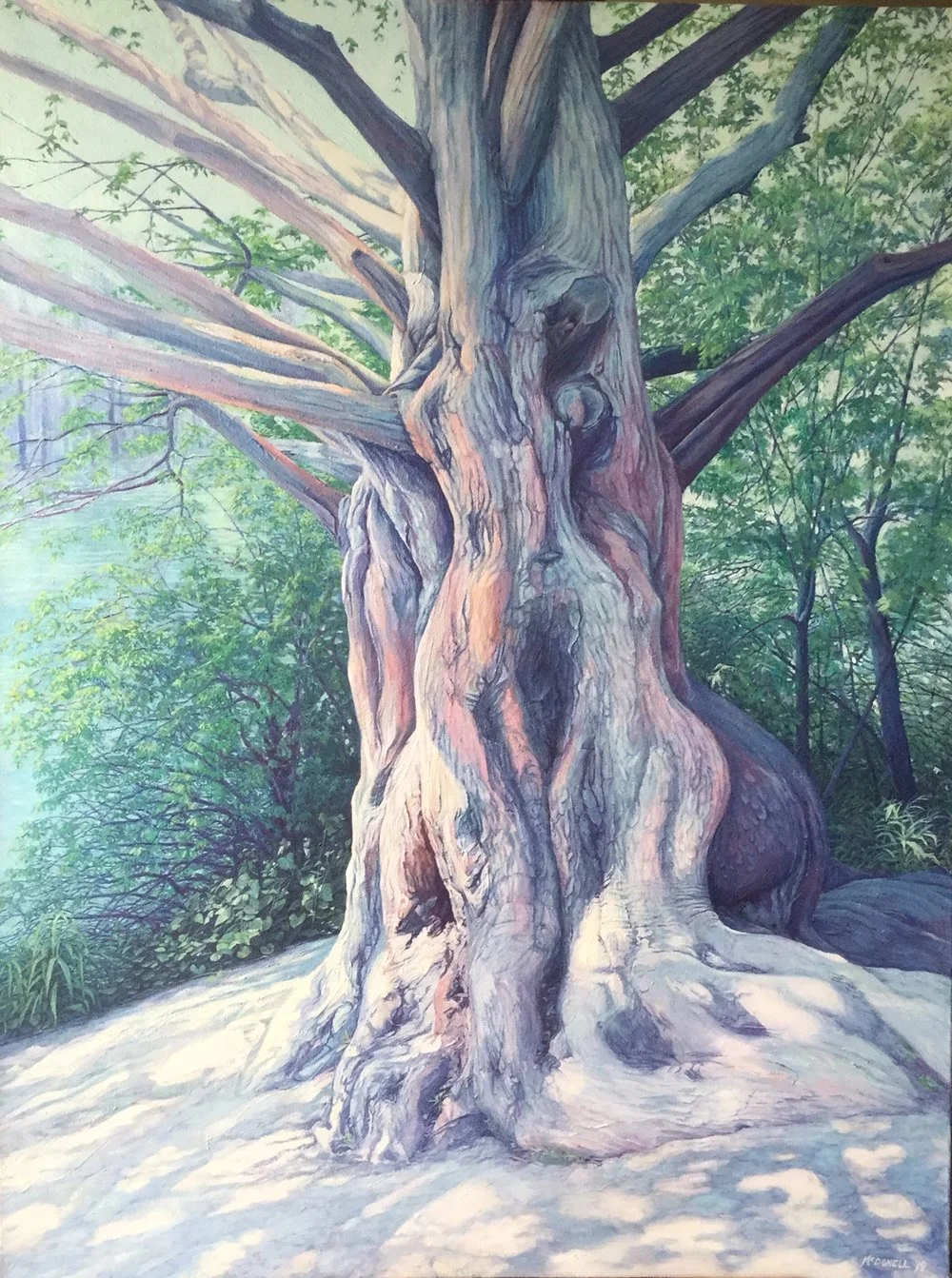 High Park Cypress (IN PROGRESS)