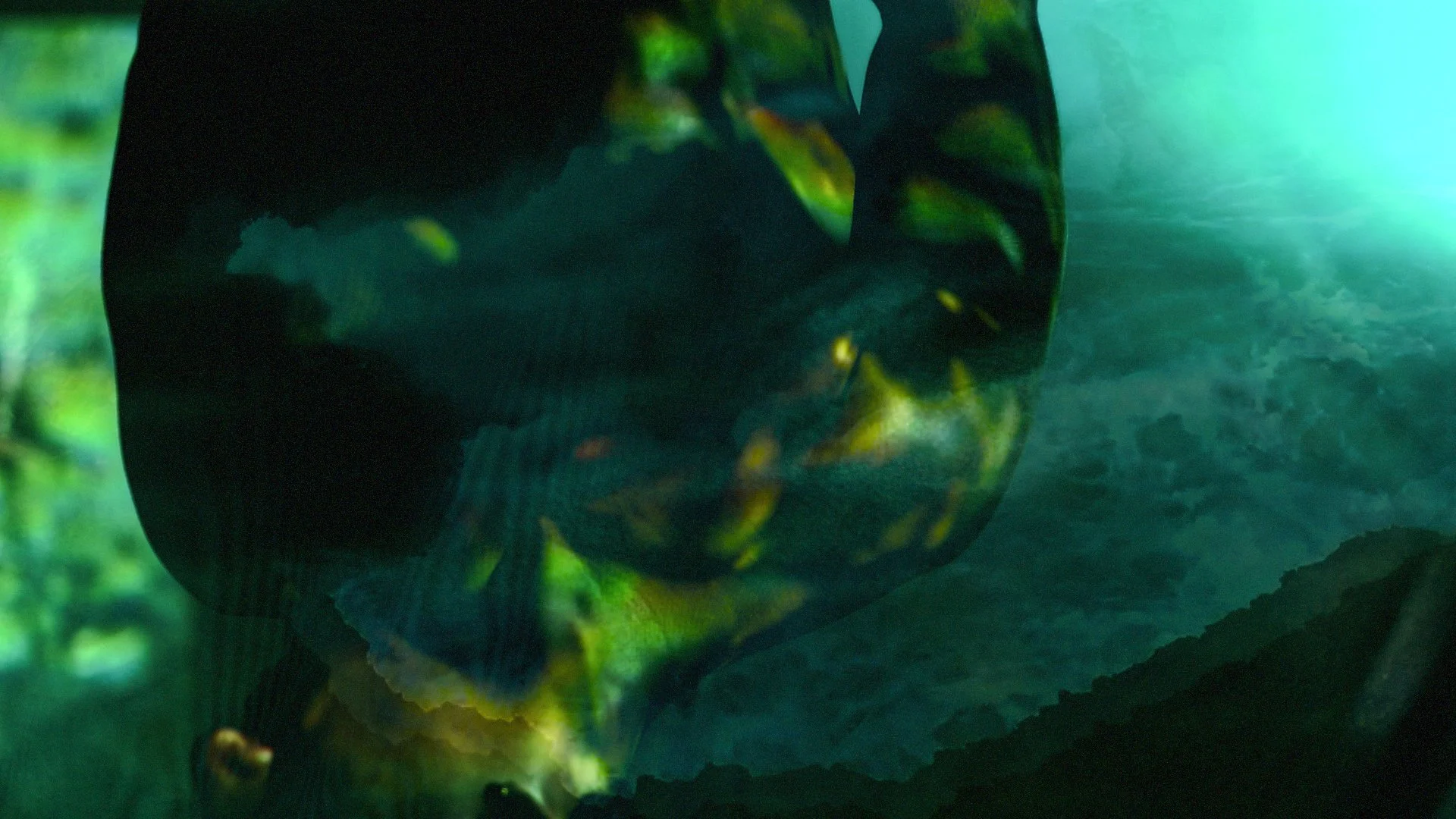 DSNPG15.jpg