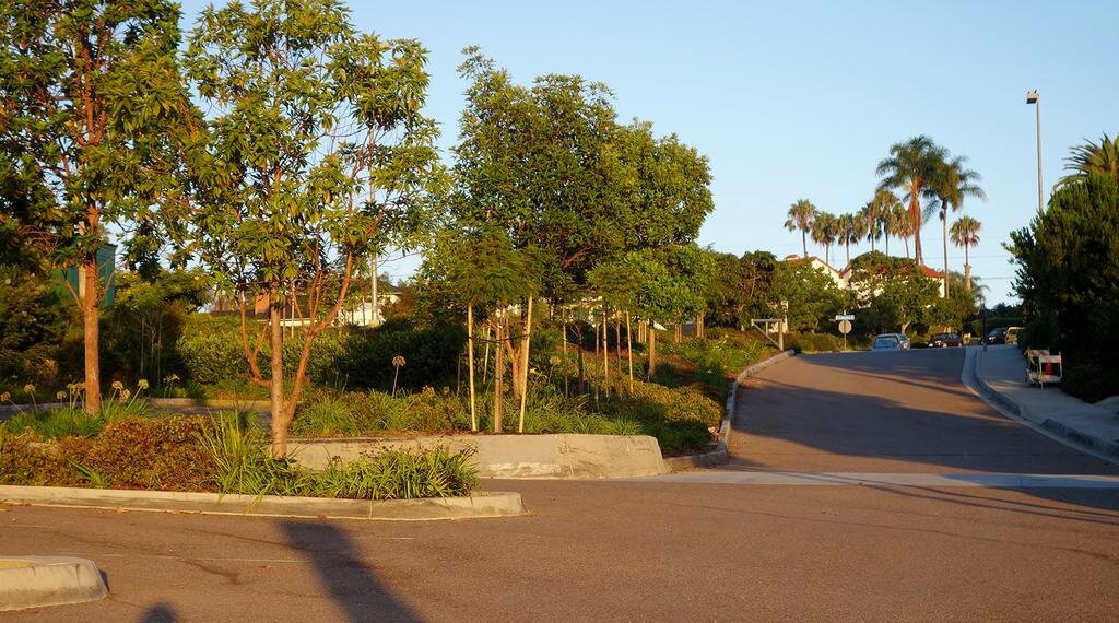 Point Loma Park