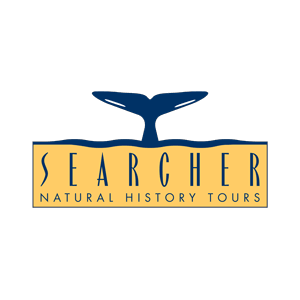 Searcher Sportfishing and Natural History Tours