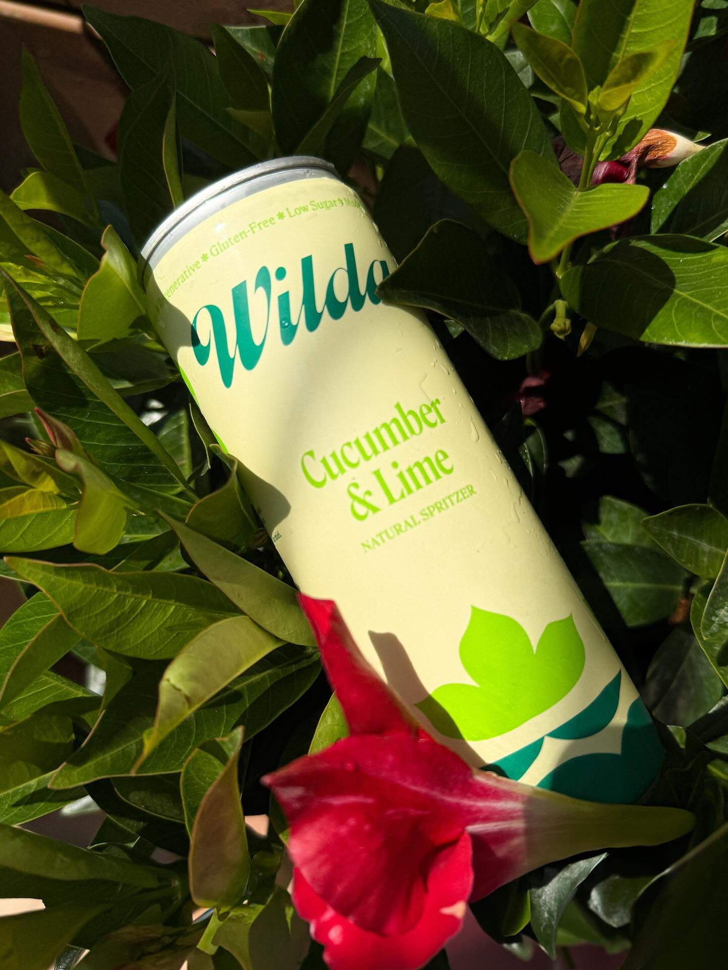 Stay 🆒🥒🍋&zwj;🟩

Chill out with a Wilda Cucumber and Lime natural spritzer. Gluten free, low sugar and sitting only at 3.5% from @revelcider 

Here til late!