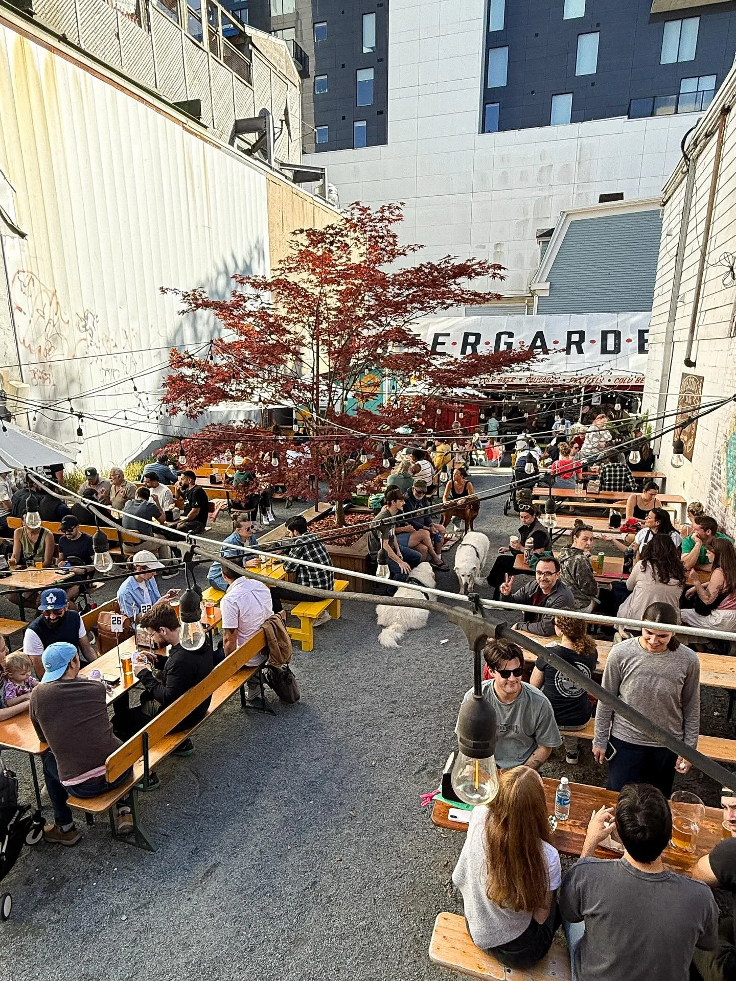 Ciderama day two✌️

See you soon 👋