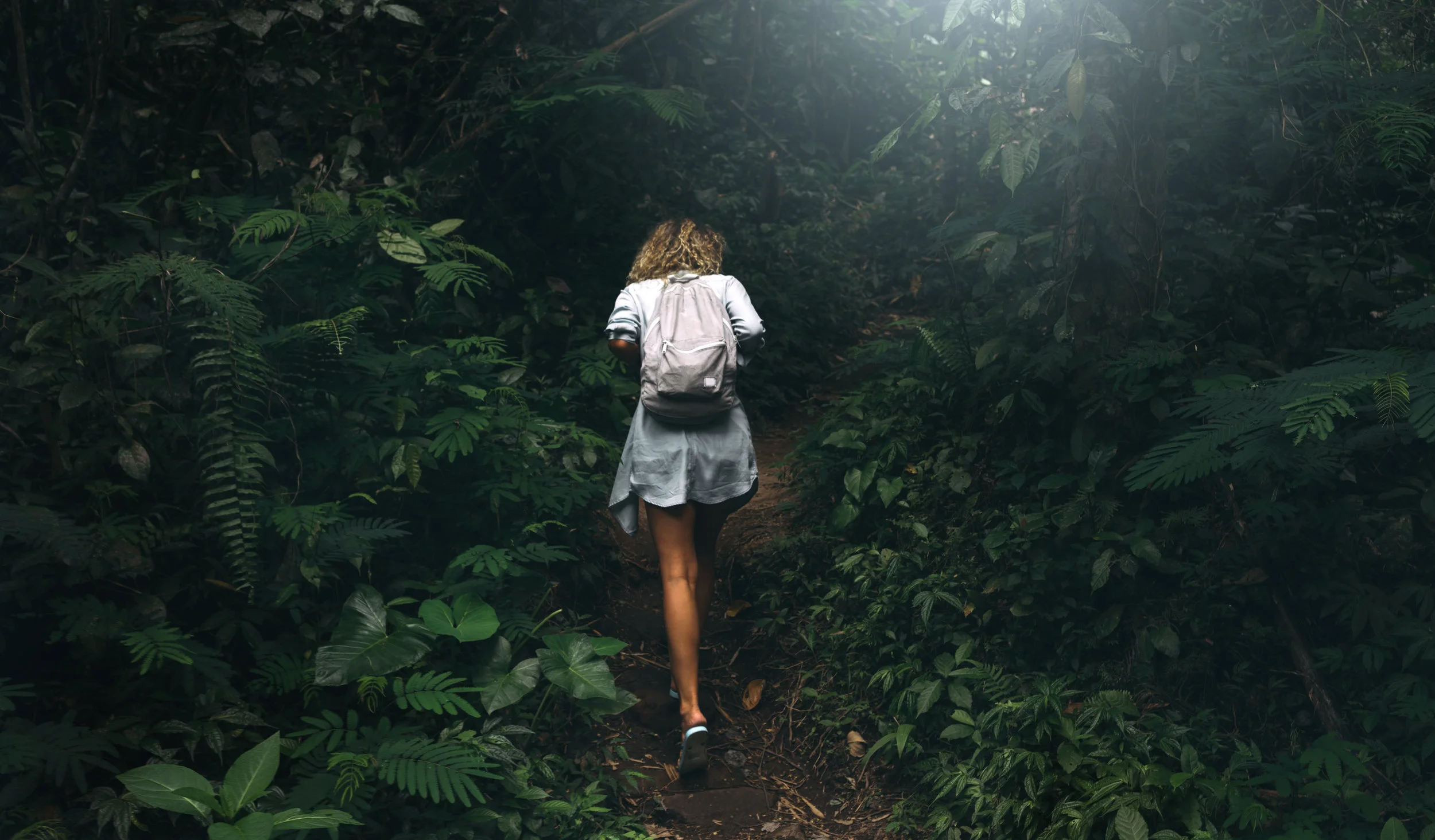 AdobeStock_178213964.jpeg