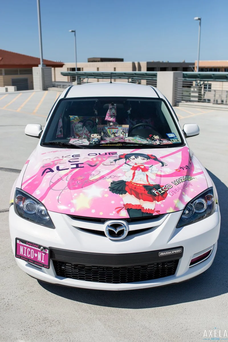 nicospeed3_hood.jpg
