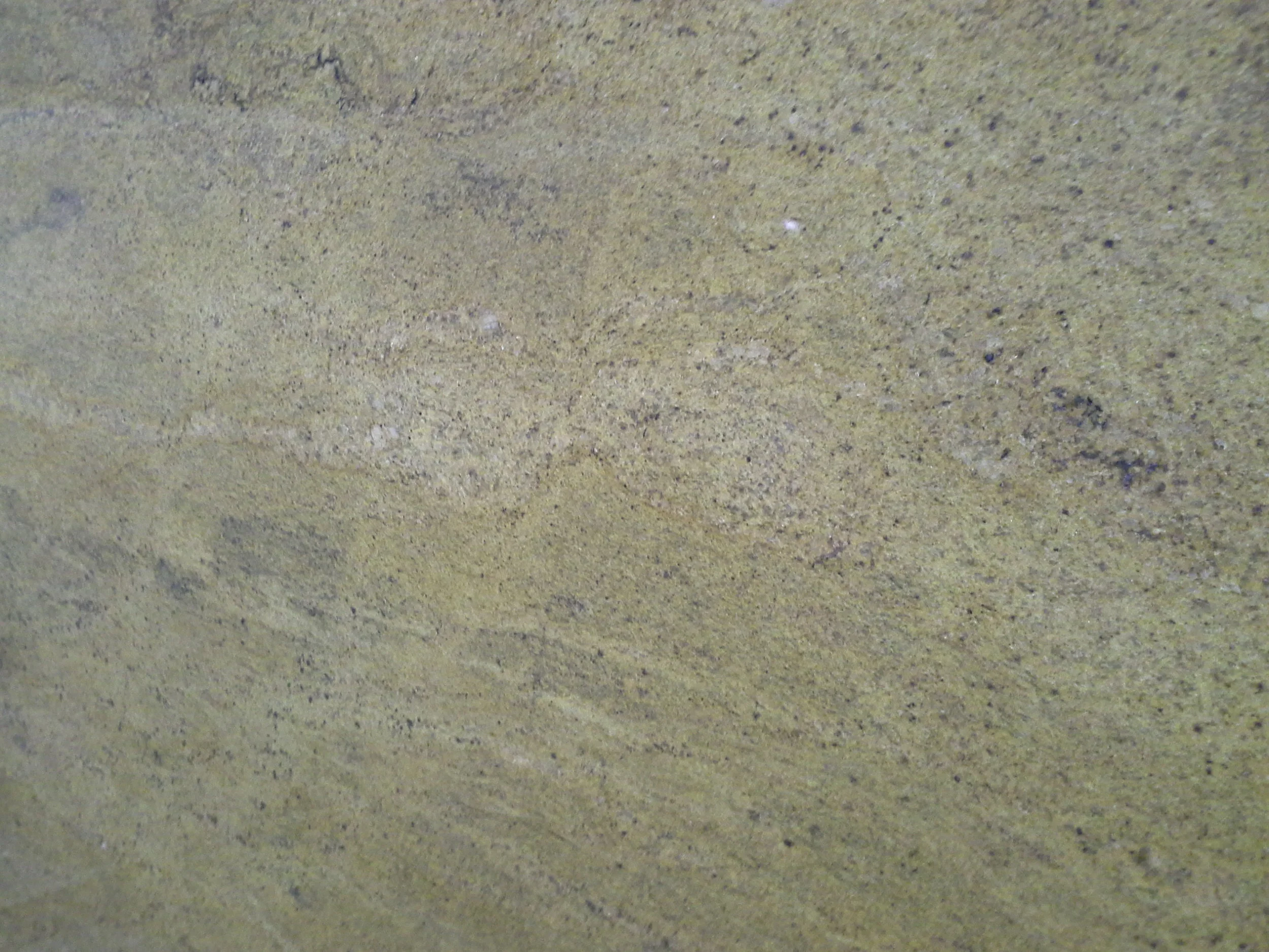 Madura Gold.jpg