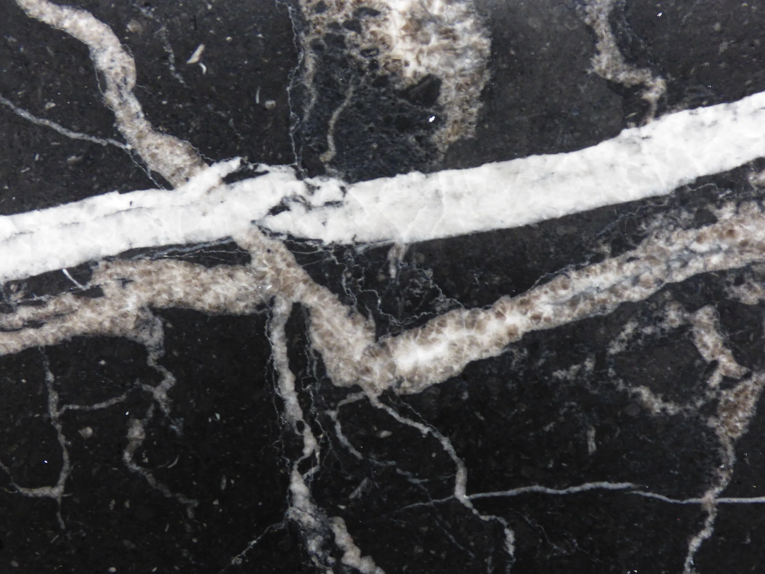 Nero Marquina