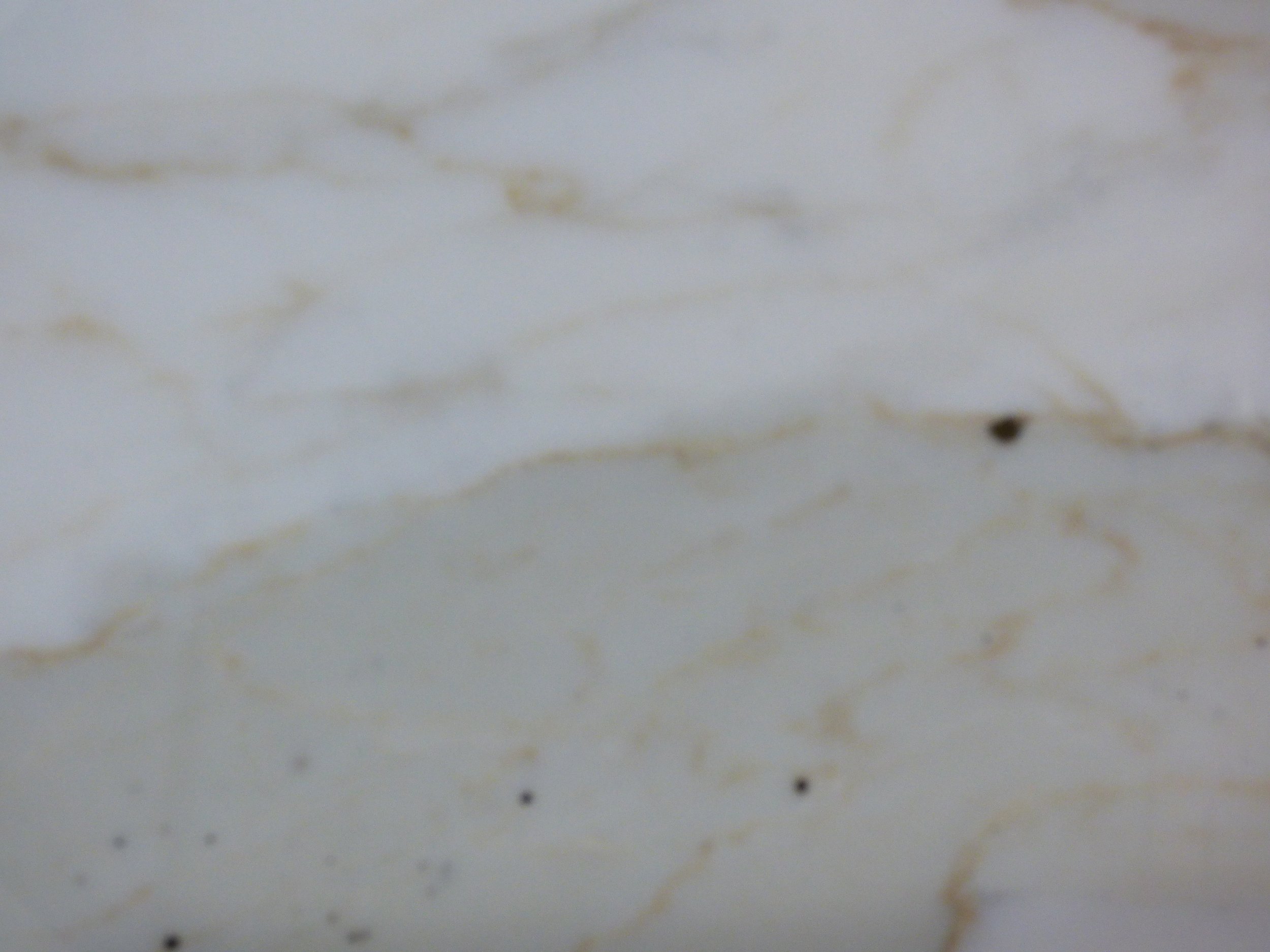 Close up of Calacatta 20mm polished C1216 TM12579