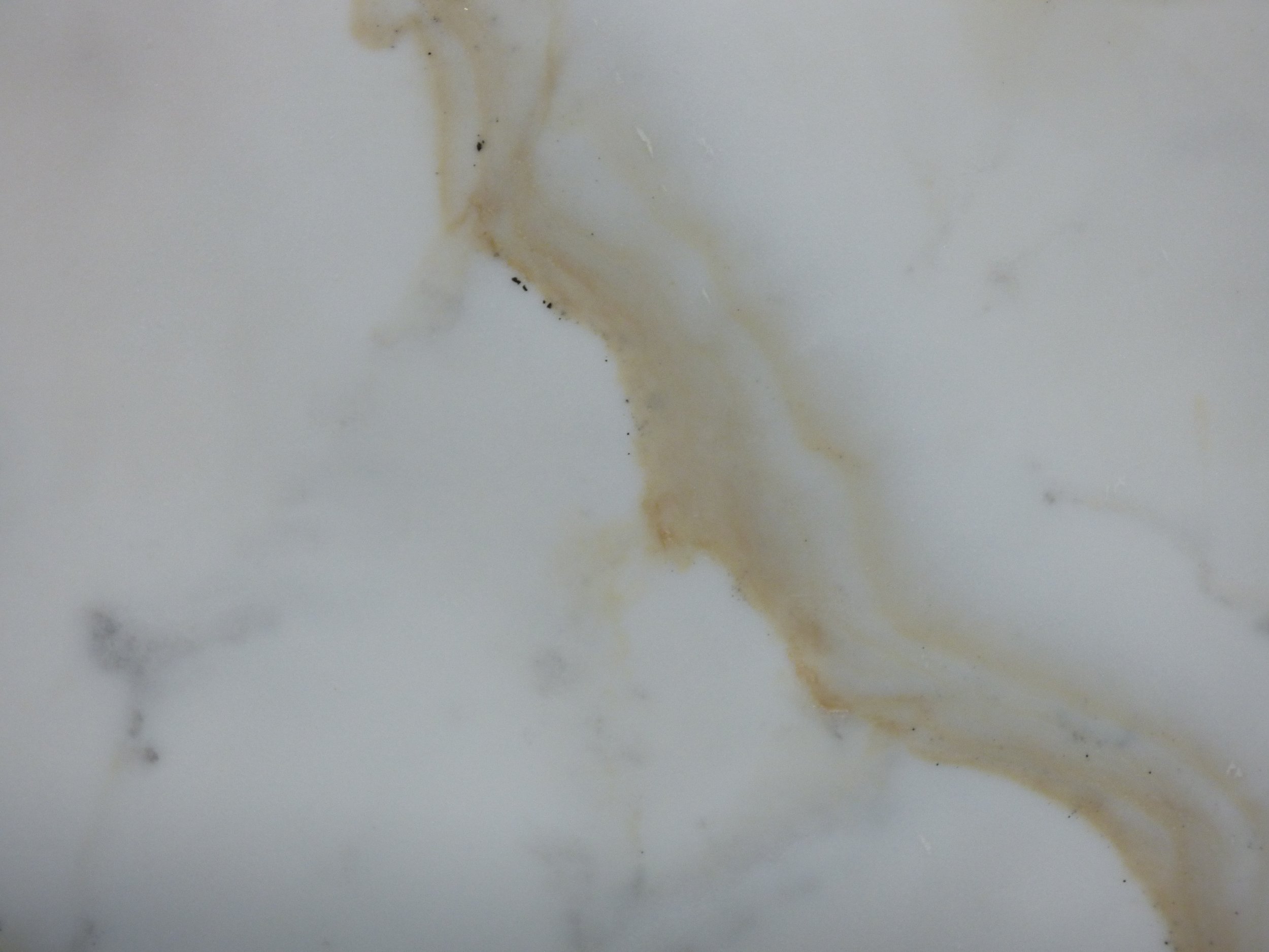 Close up of Cremo Delicato 20mm polished CD0113