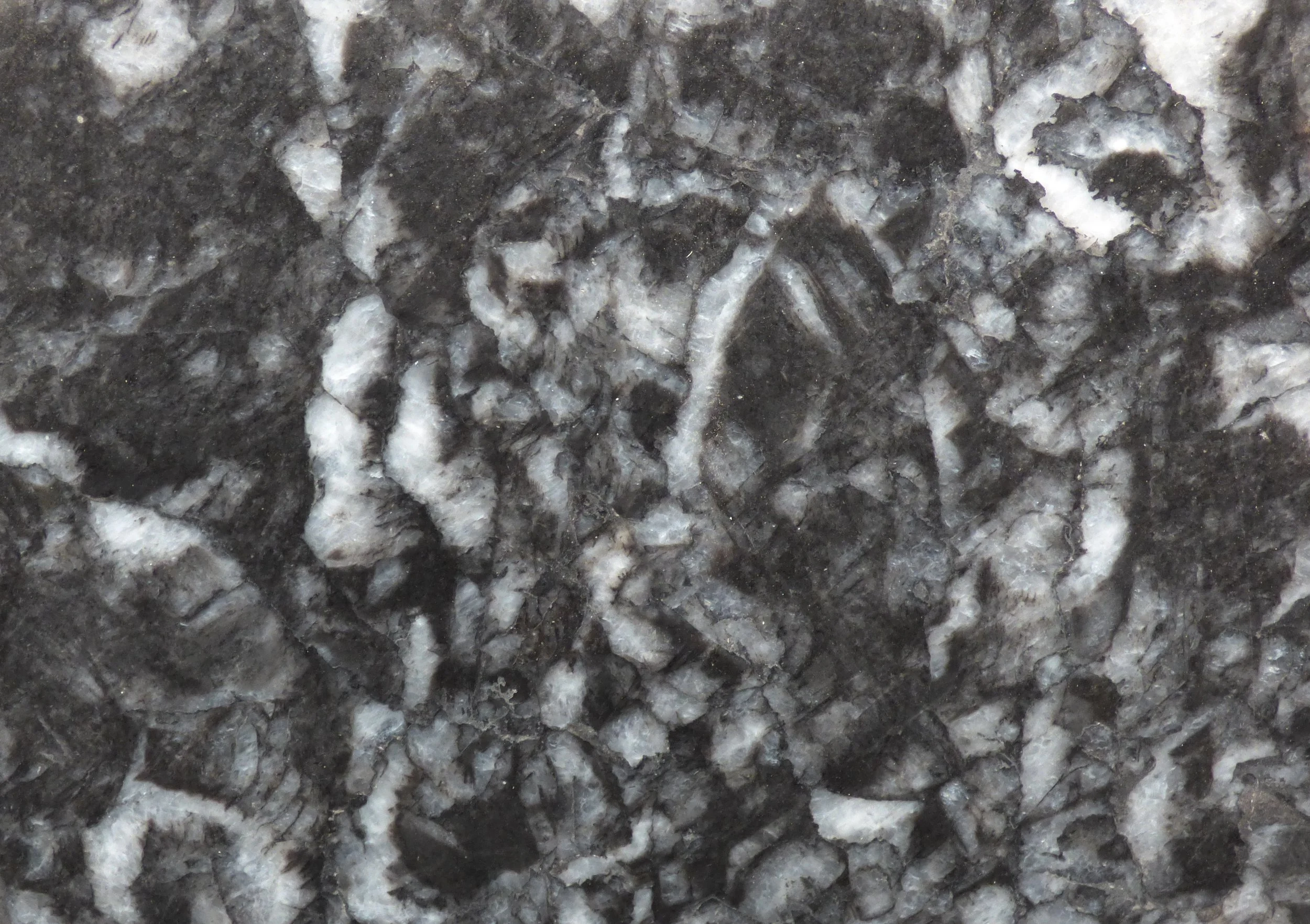 Close up Titanium Black 20mm polished T1216