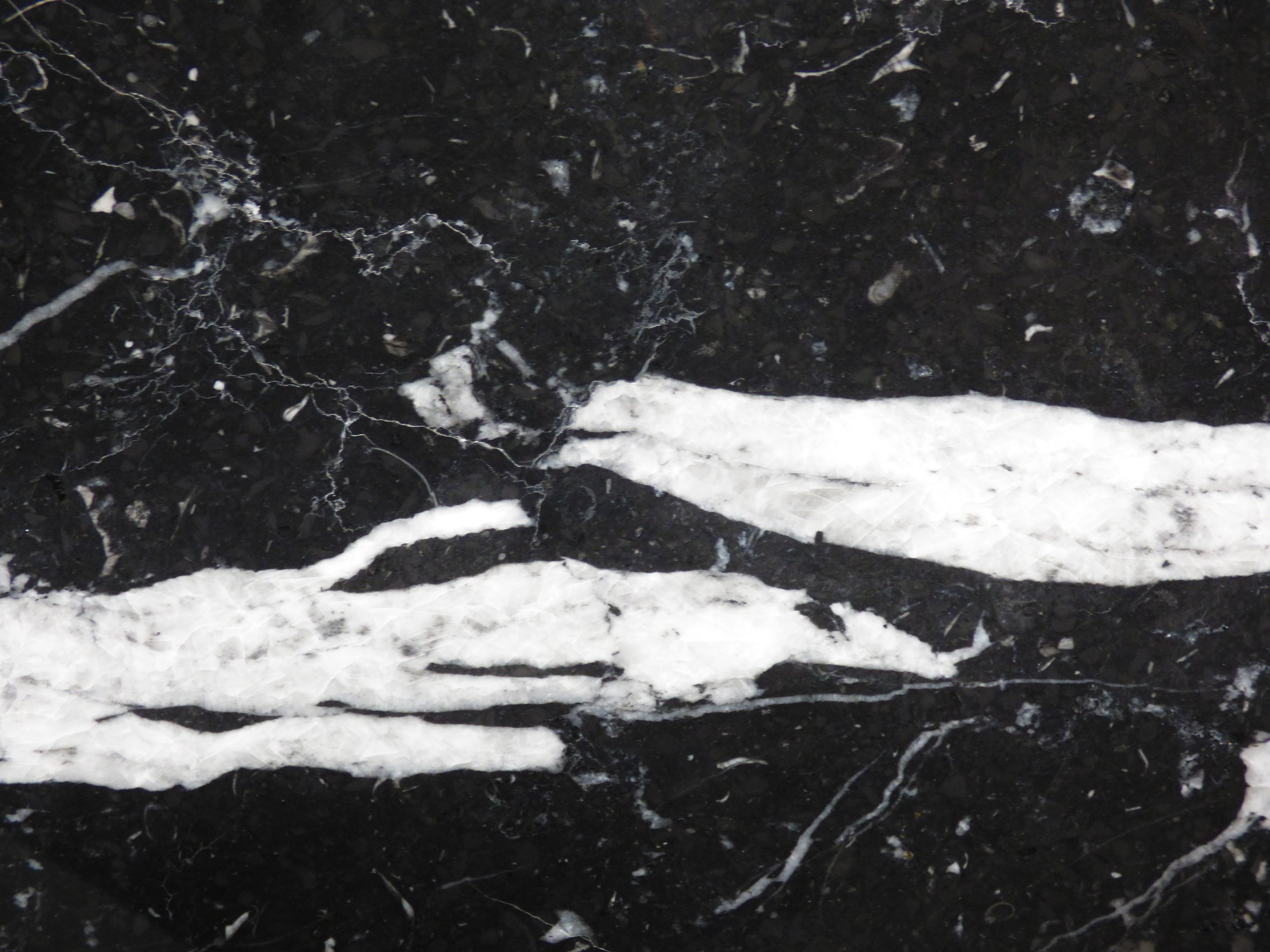 Close up Nero Marquina 20mm polished NM1116