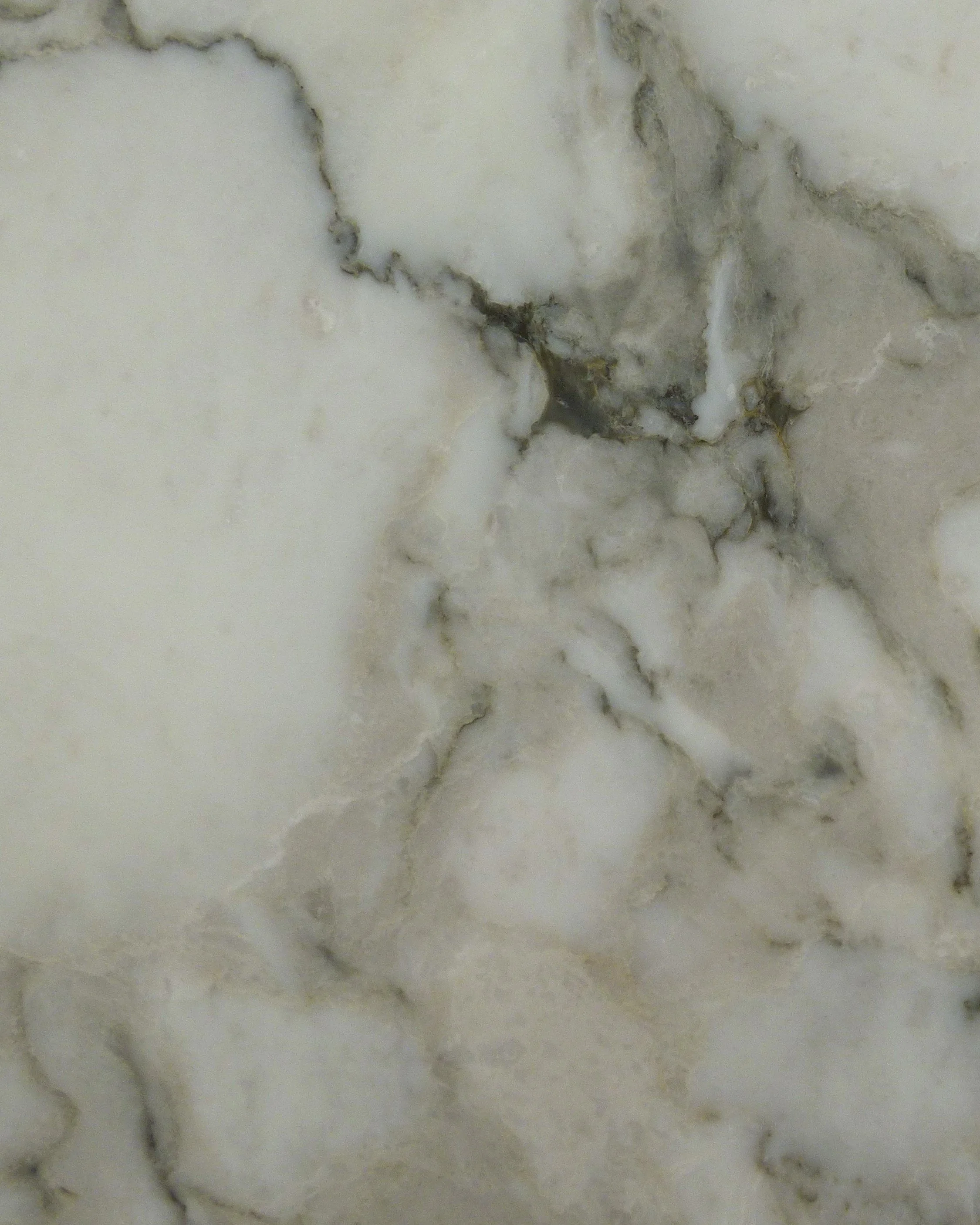 Close up Arabescato Vagli  honed AV-0825 20mm honed 