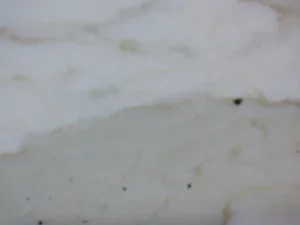 Calacatta