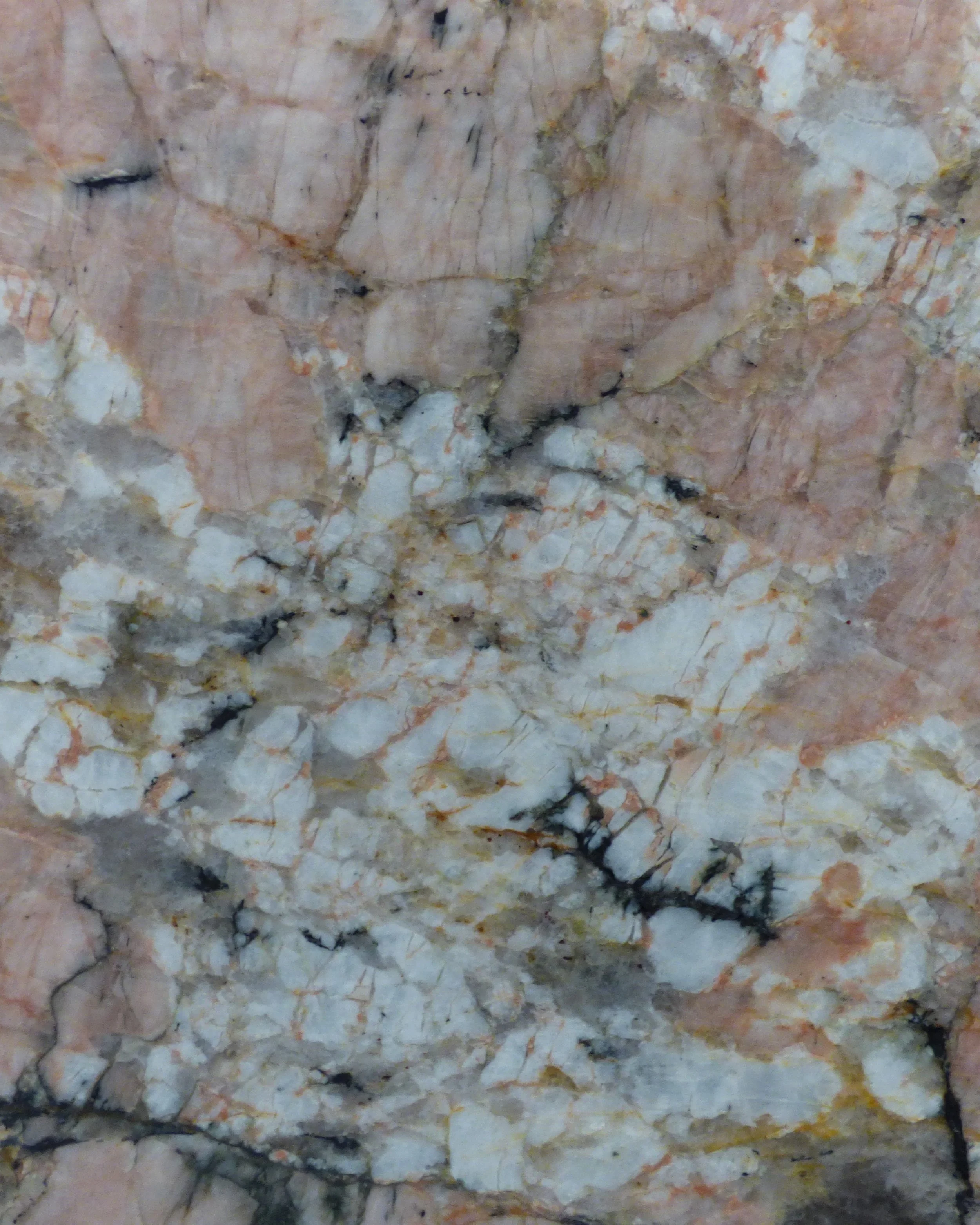 Close up Caravellas Pink 20mm polished CP-0625
