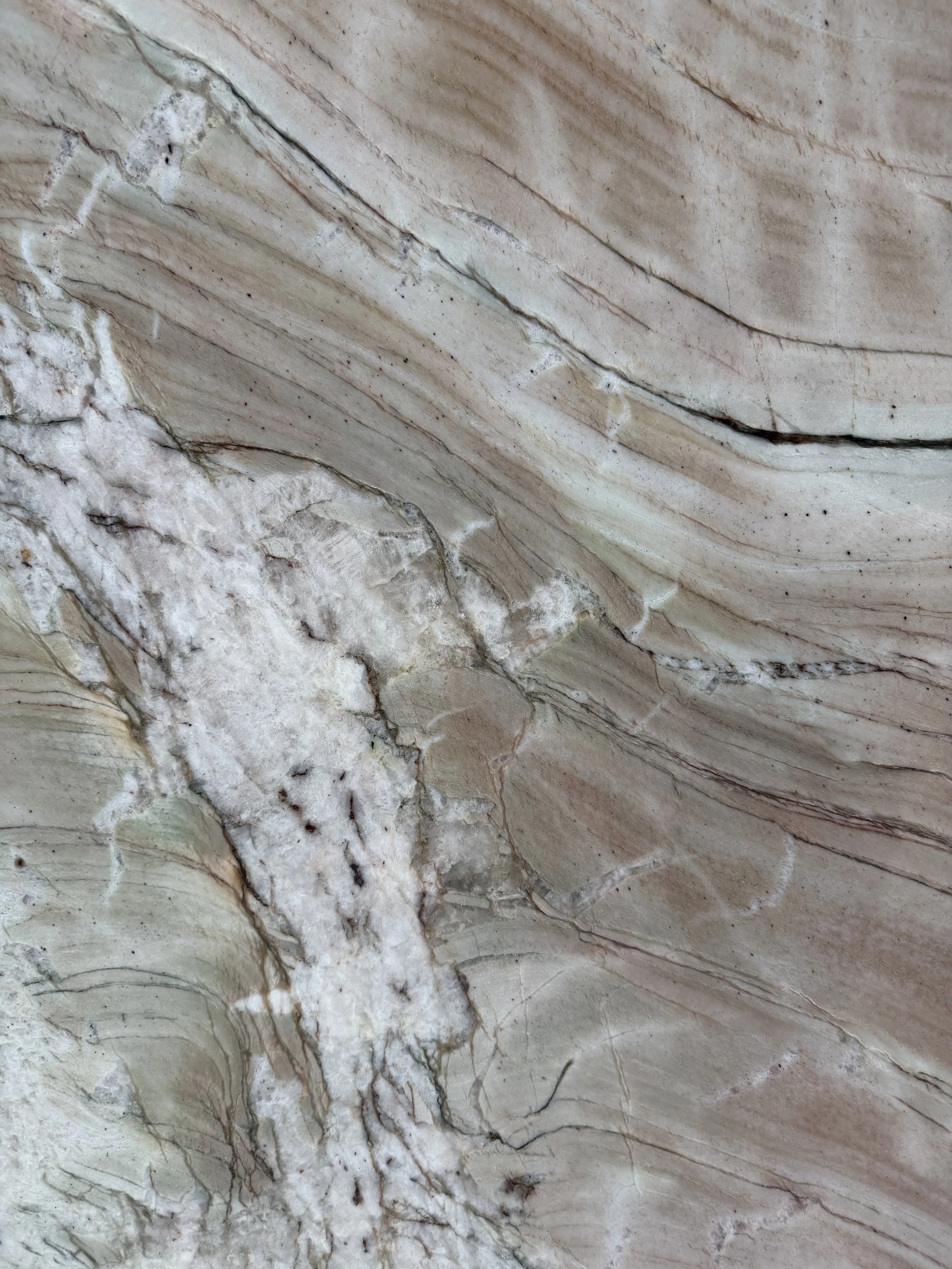 Close up Oasis Maestro OM-1125 20mm polished