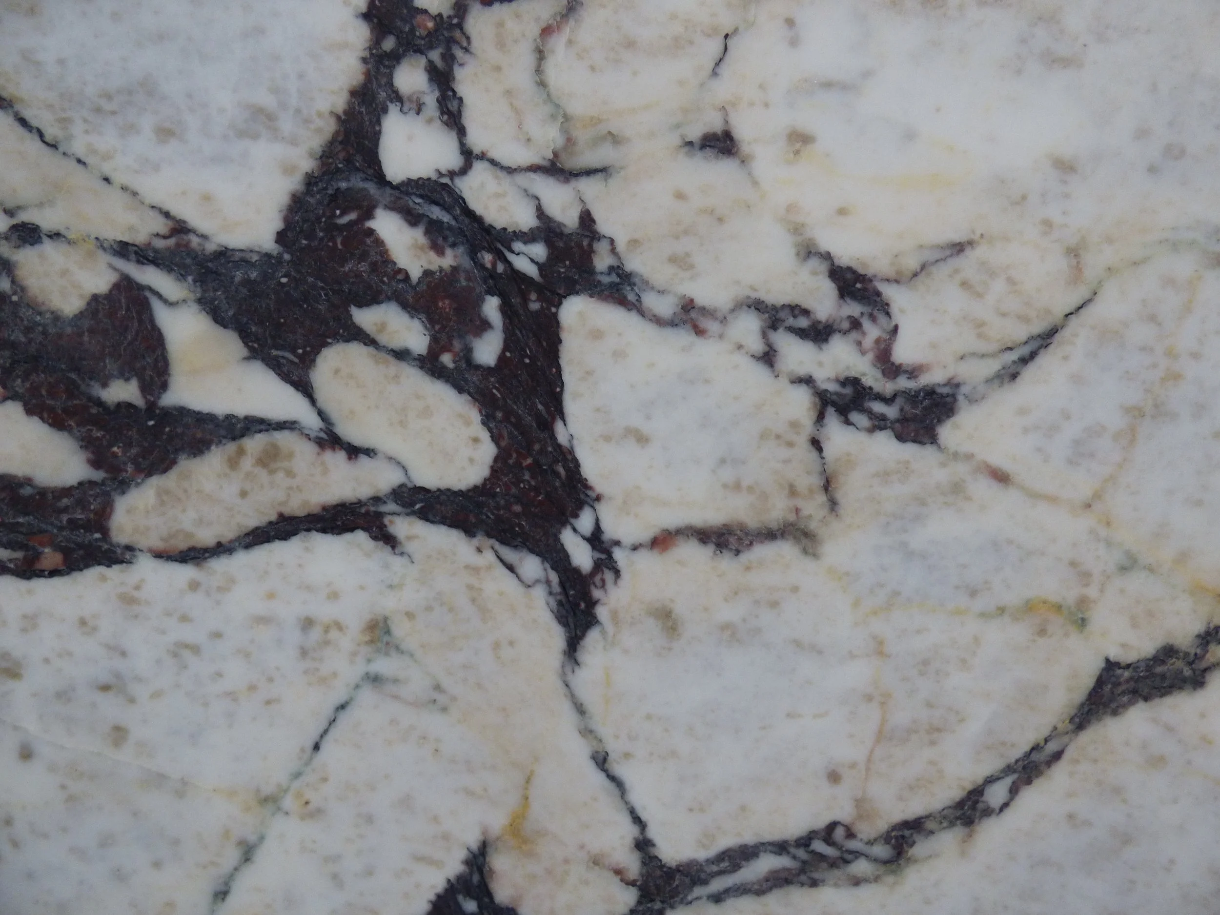 Close up Calacatta Viola CV0226 20mm honed