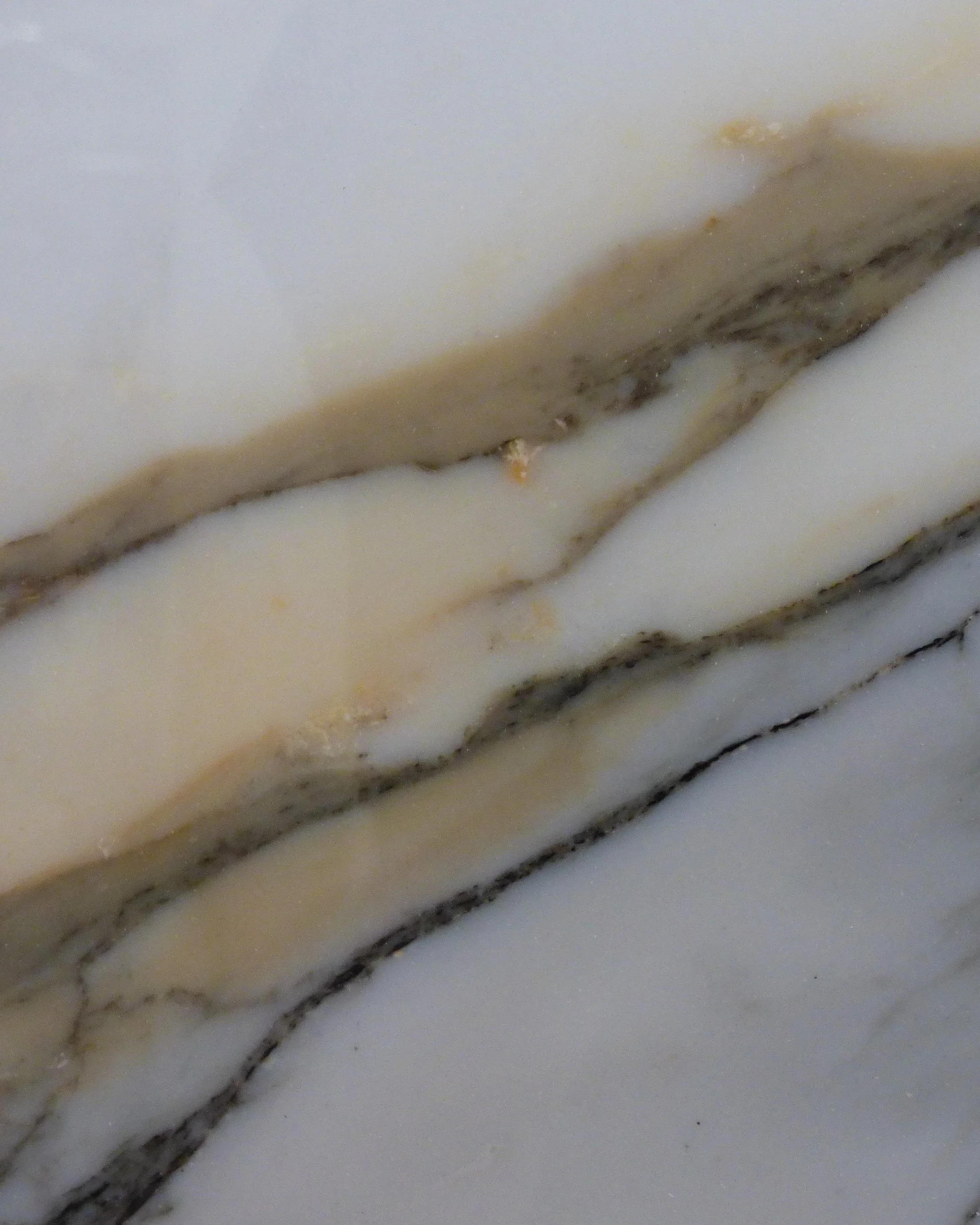 Close up Calacatta Borghini Gold 20mm honed CBG-0226