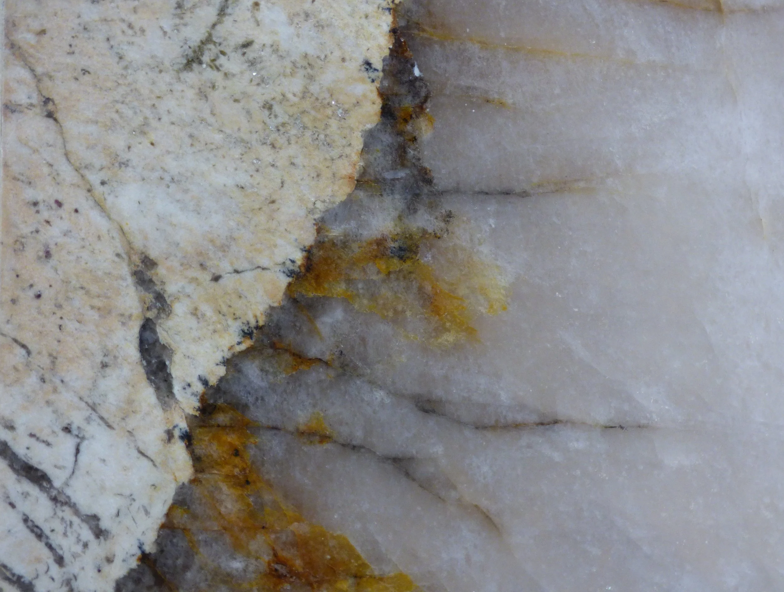 Gold Patagonia