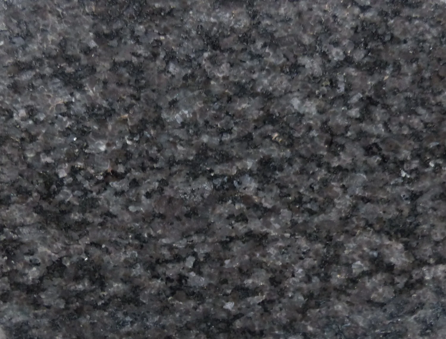 Black Pearl close up a