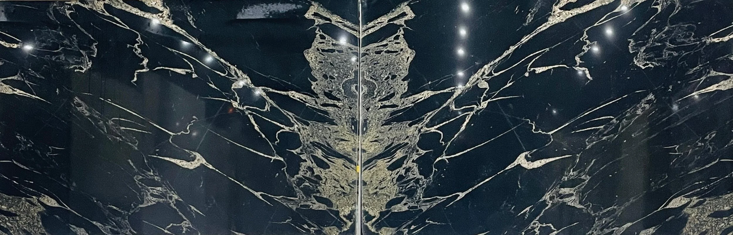 Black & Gold Marble Cropped.jpeg