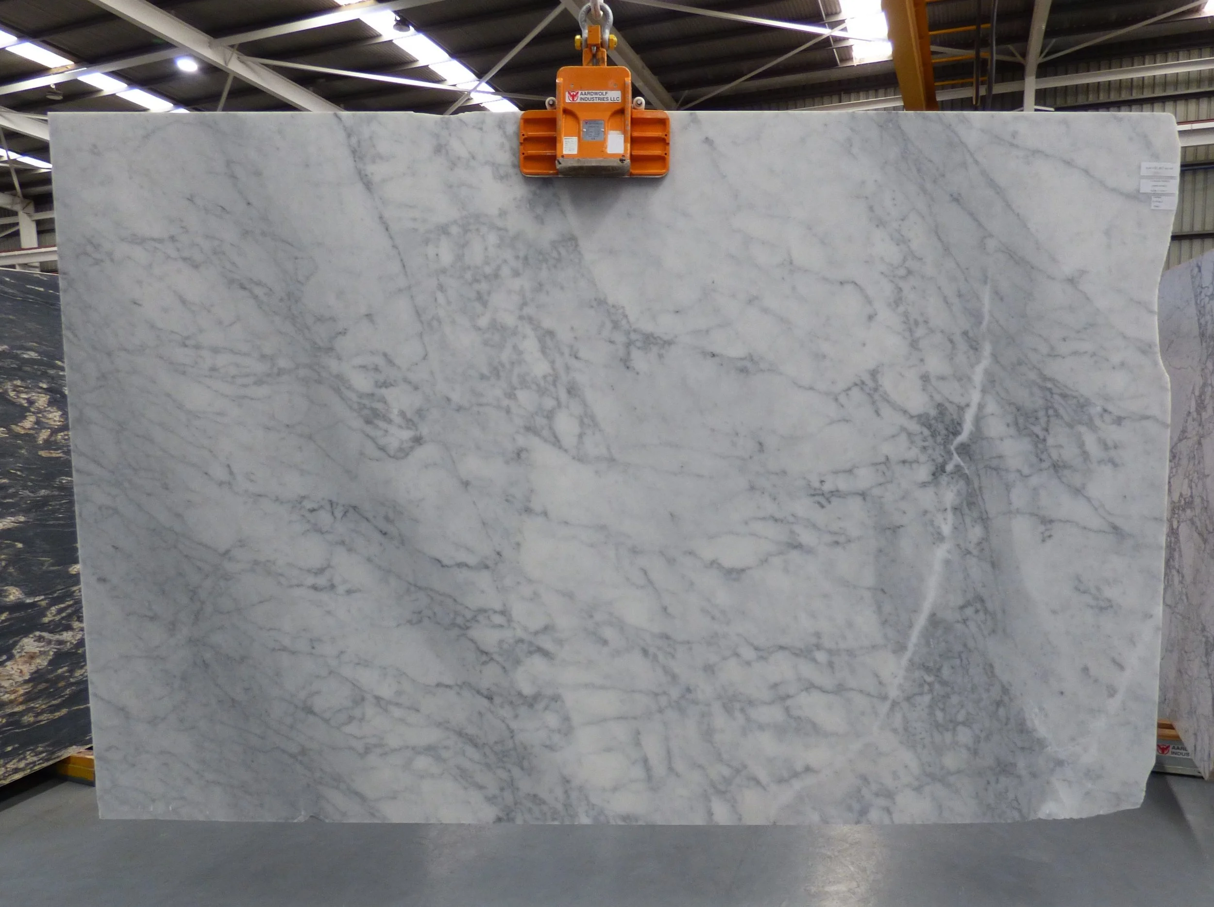 Slab - Carrara C-0724-1 20mm honed. 2026.JPG