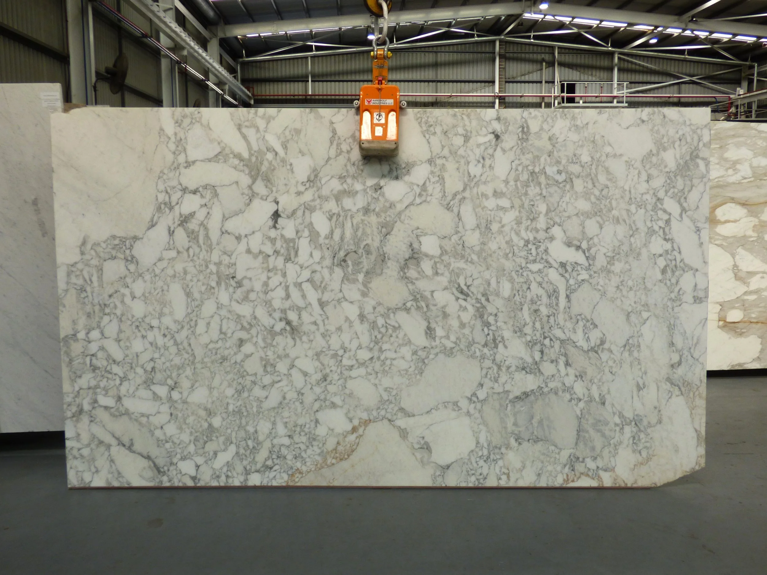 Slab - Arabescato Vagli  honed AV-0825.JPG