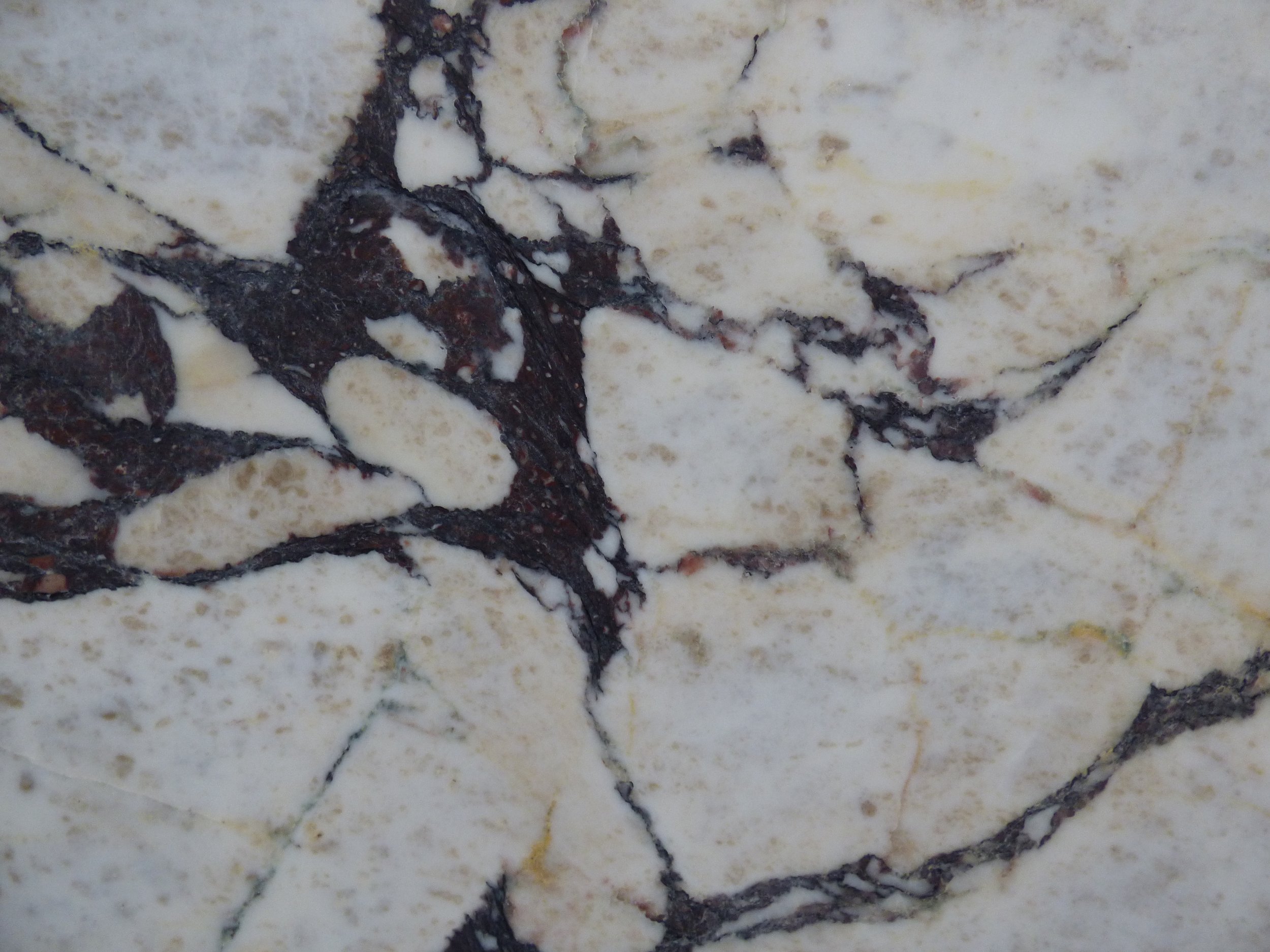 Marble - Calacatta Viola 20mm honed CV-0226.JPG