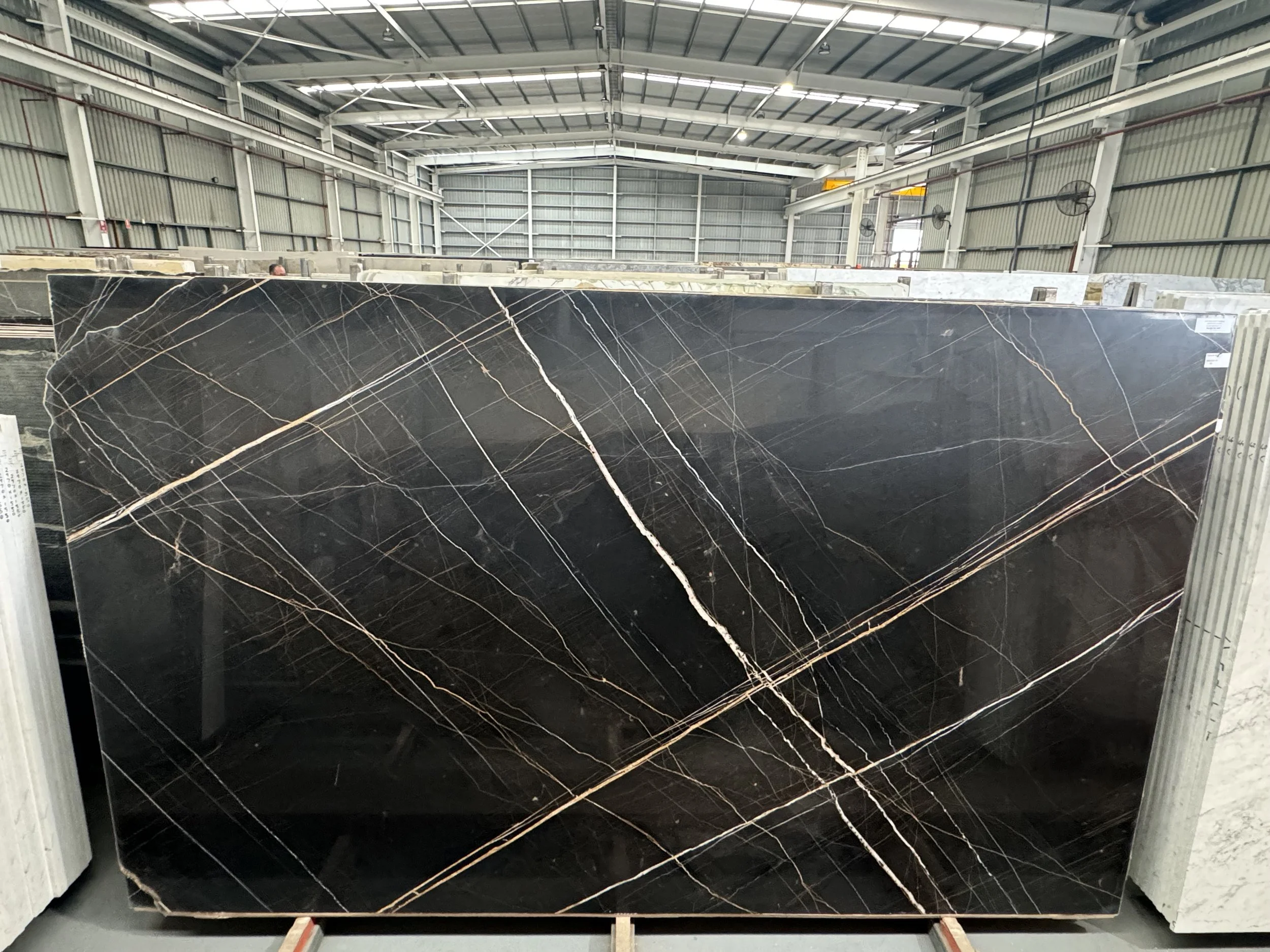 Sahara Noir slab b