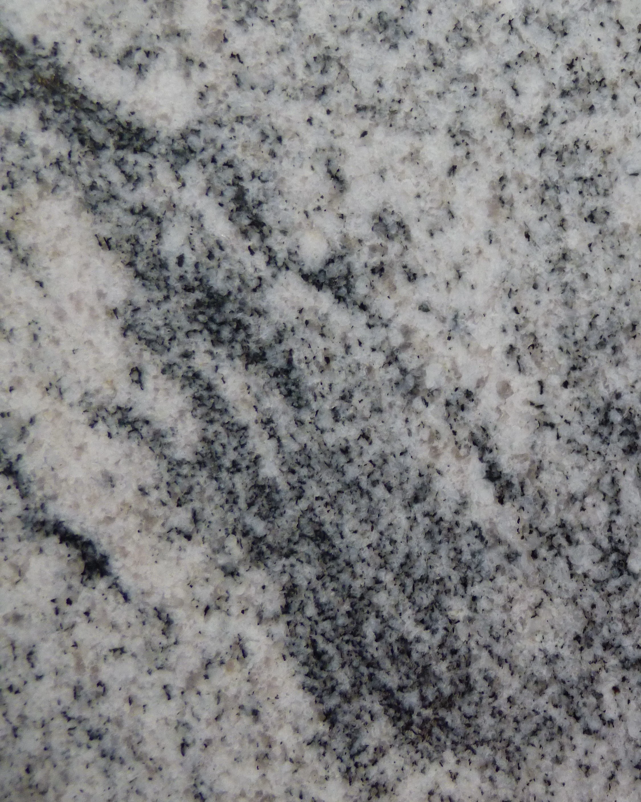 Granite - Viscount White VW-0525.close up.1.JPG