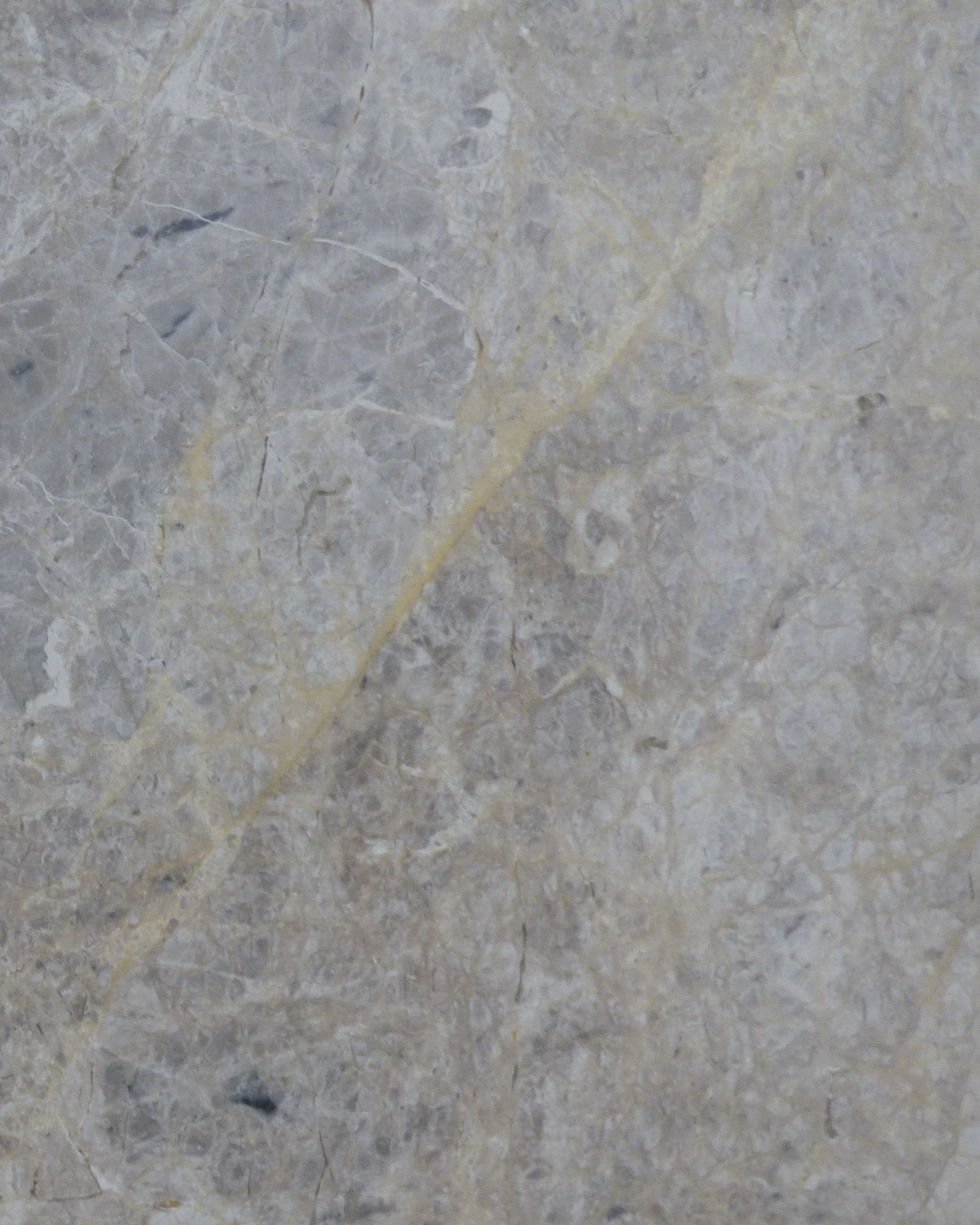 Limestone - Turco Argento honed TA-0226.R.JPG