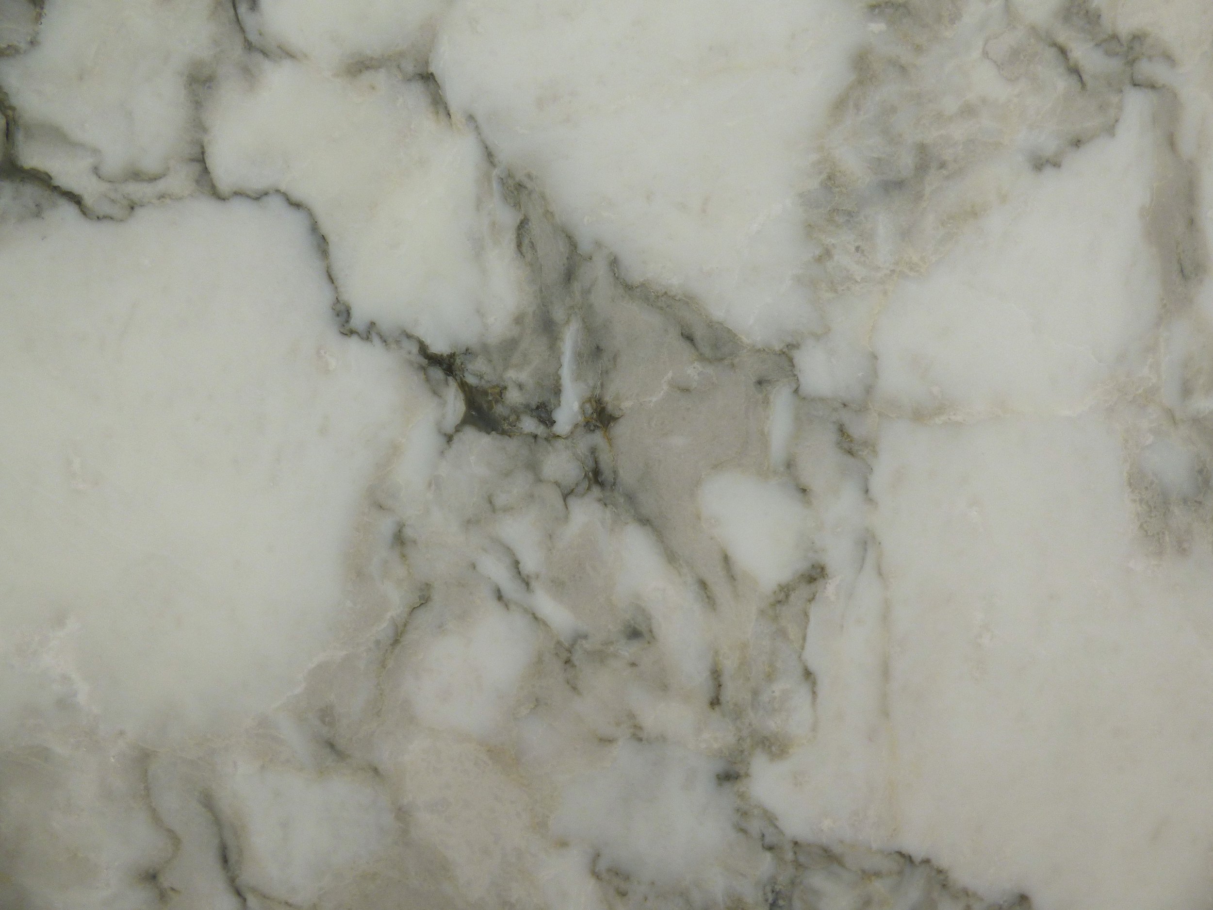 Marble - Arabescato Vagli  honed AV-0825.JPG