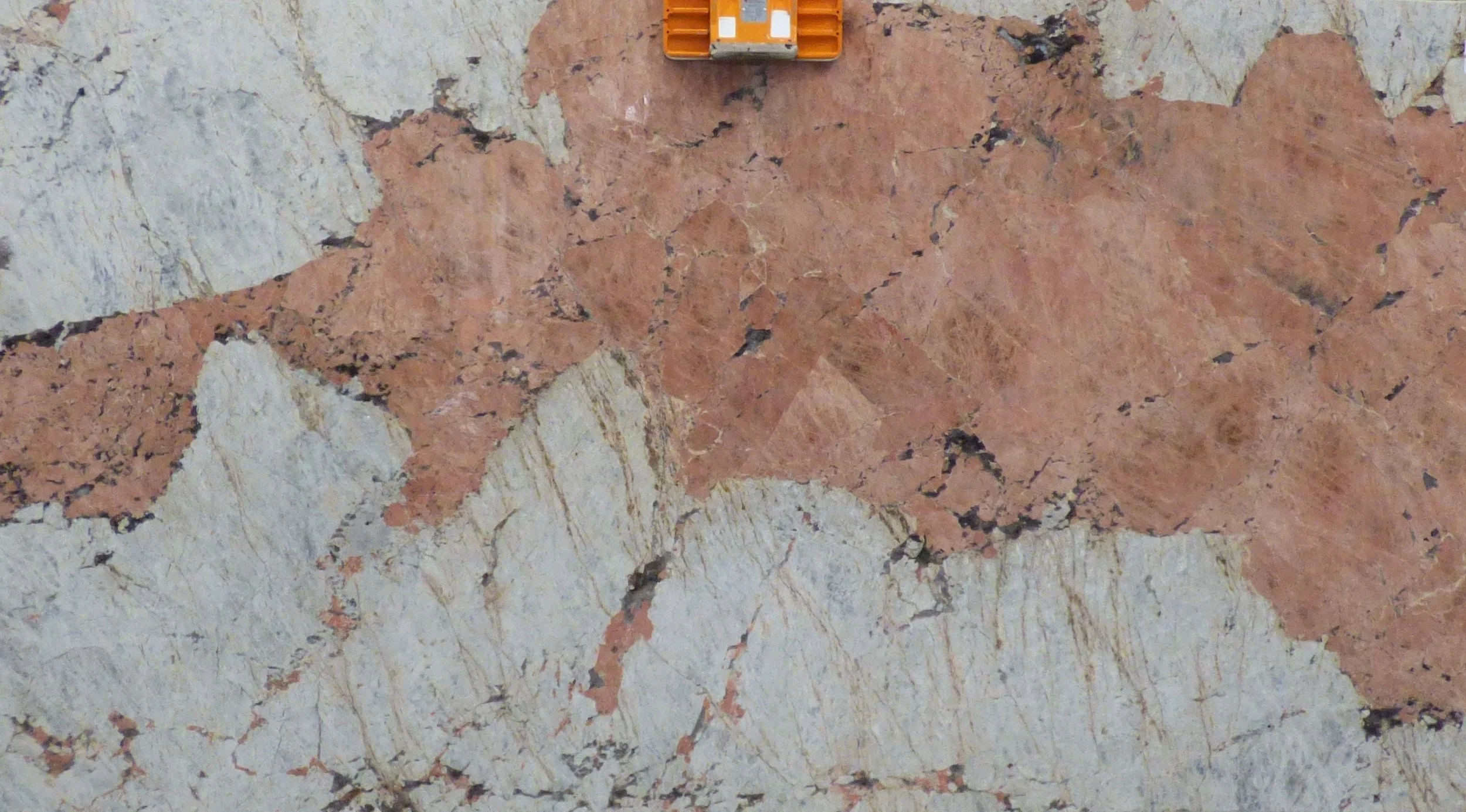 Slab - Caravellas Pink CP-0826.cropped.JPG