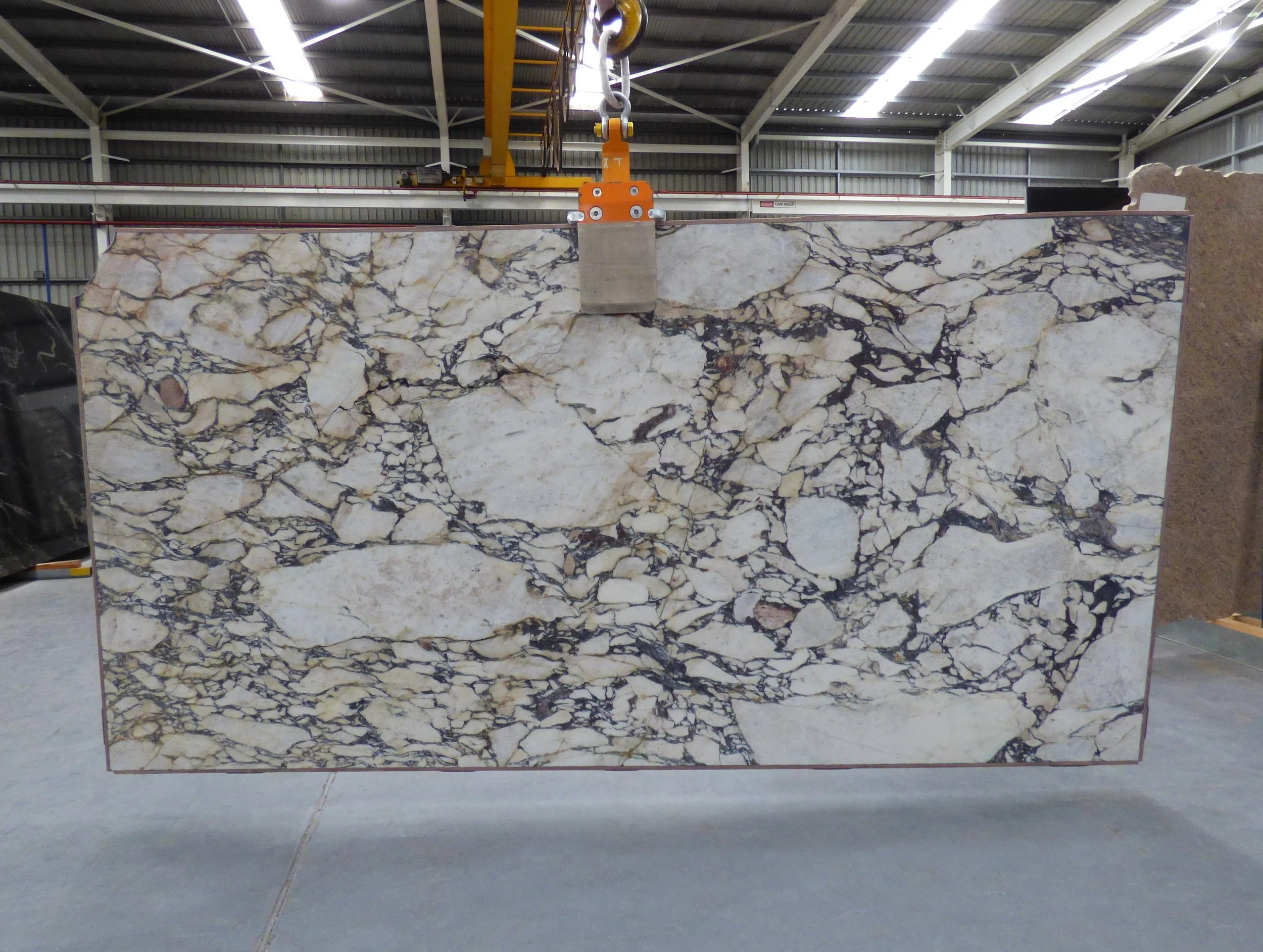 Slab - Calacatta Viola 20mm honed CV-0226.JPG