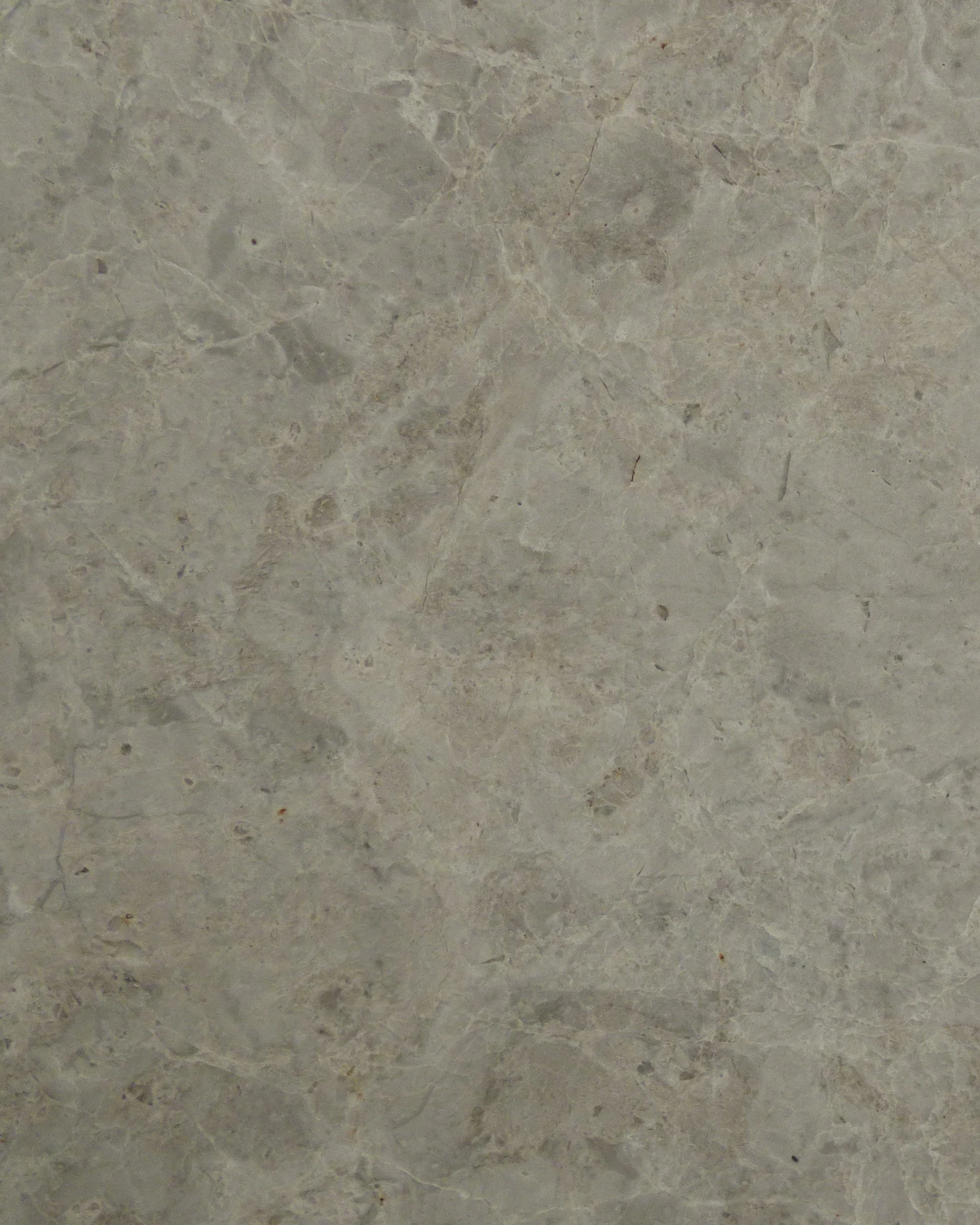 Limestone- Tundra Grey honed TM-1025.L.JPG