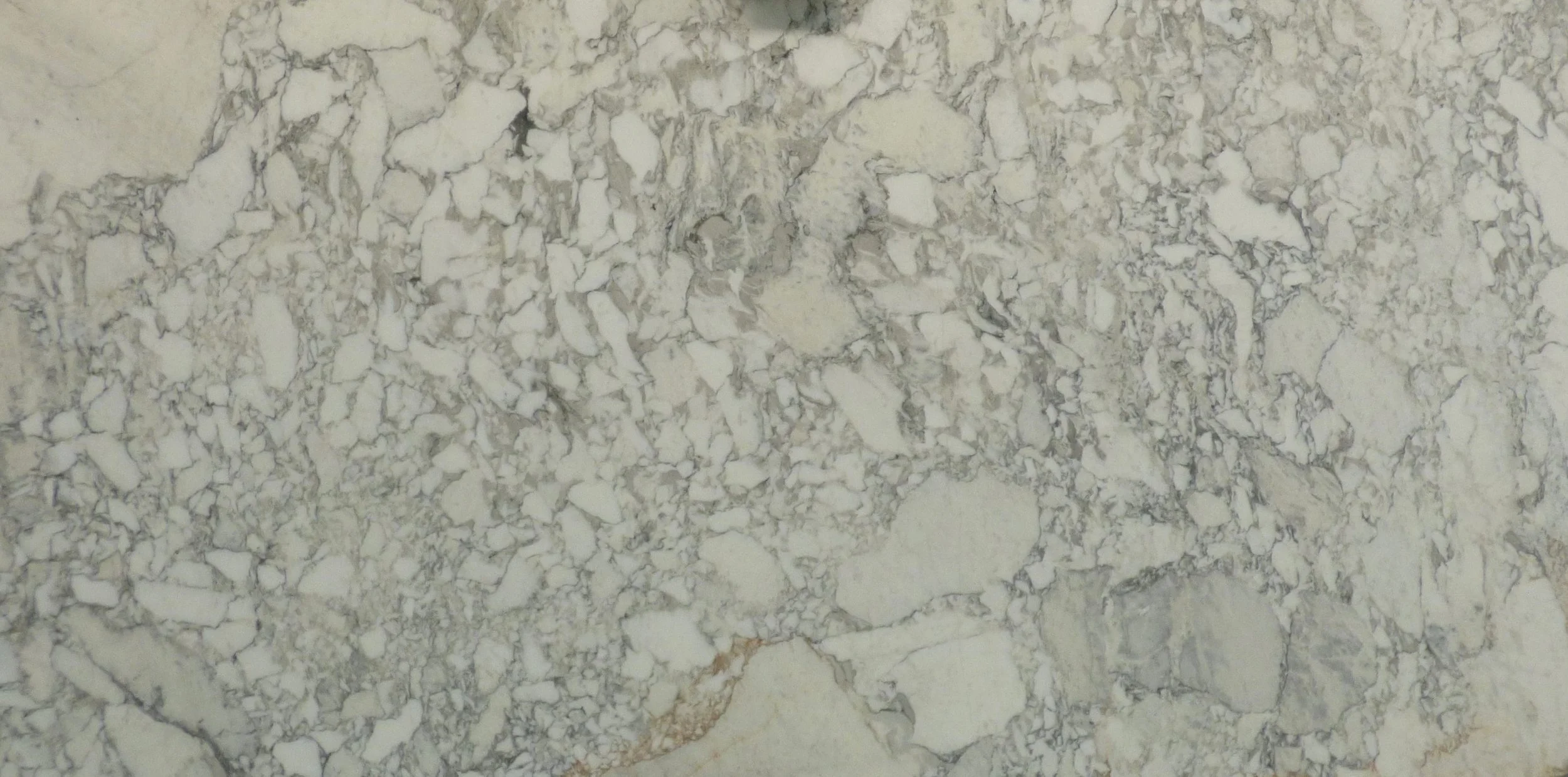 Slab - Arabescato Vagli  honed AV-0825.cropped.b.JPG