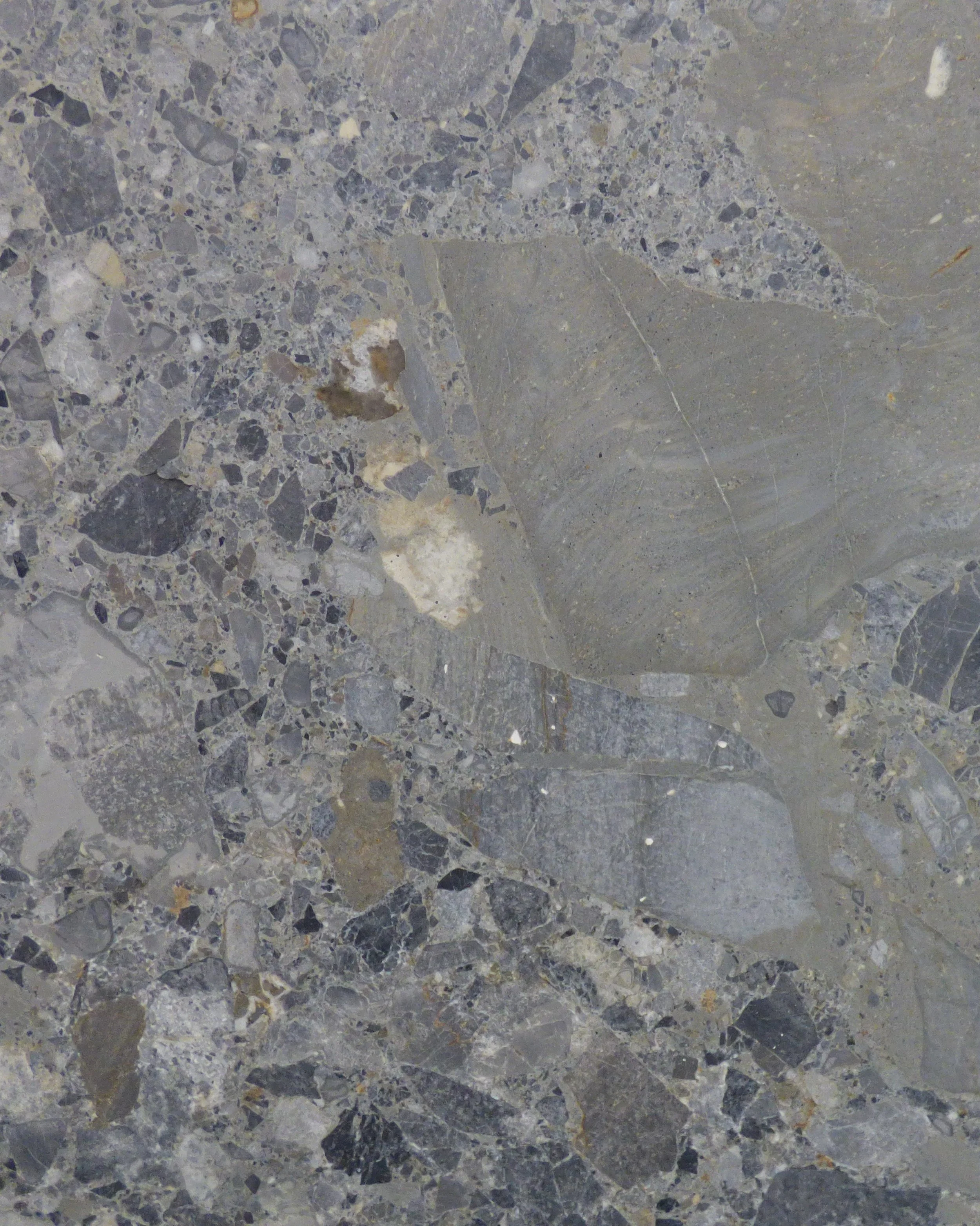 Marble - Ceppo Antico CA-1025 20mm honed .2m.JPG