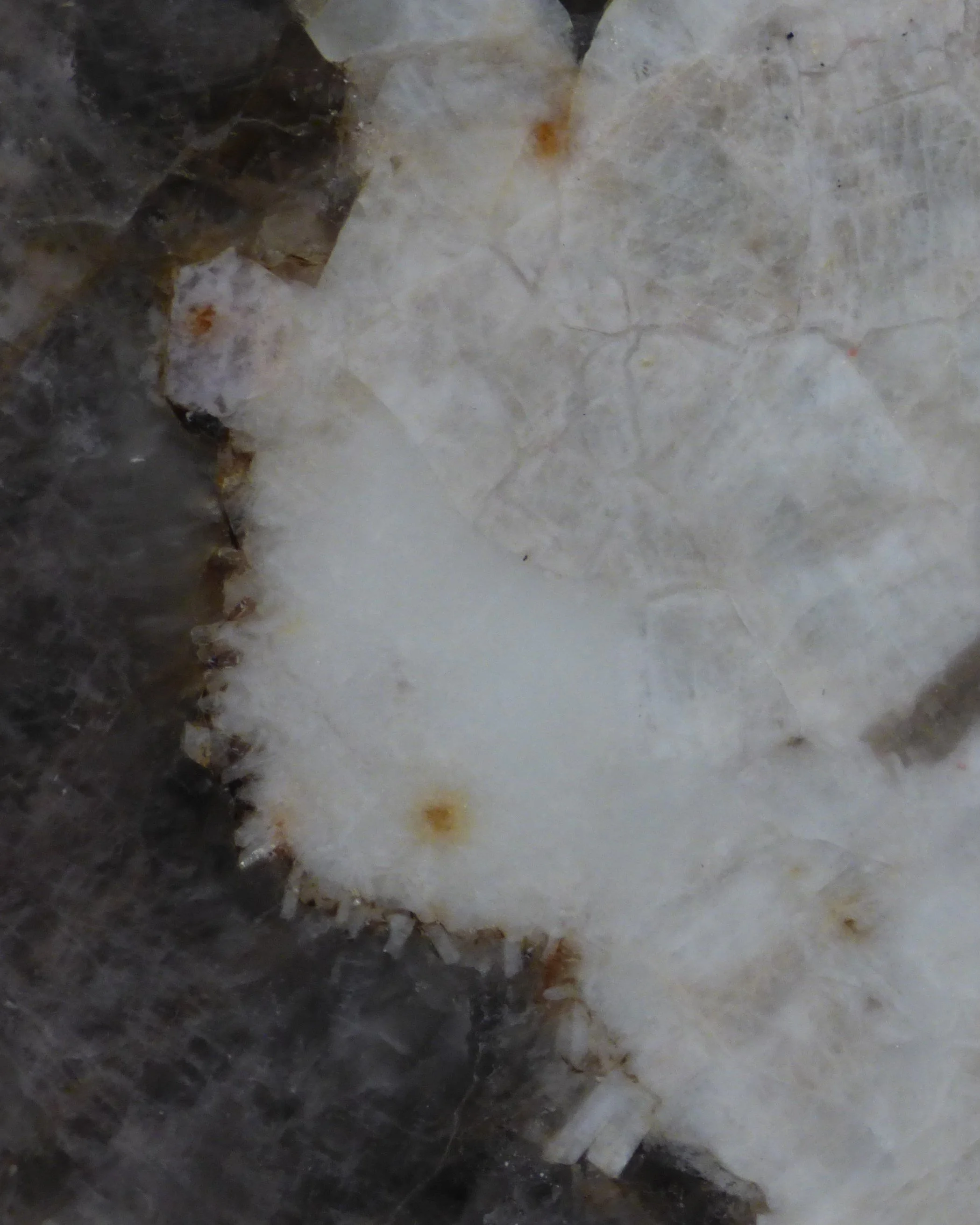 Quartzite - Alpines Patagonia AP-0826.L.jpg